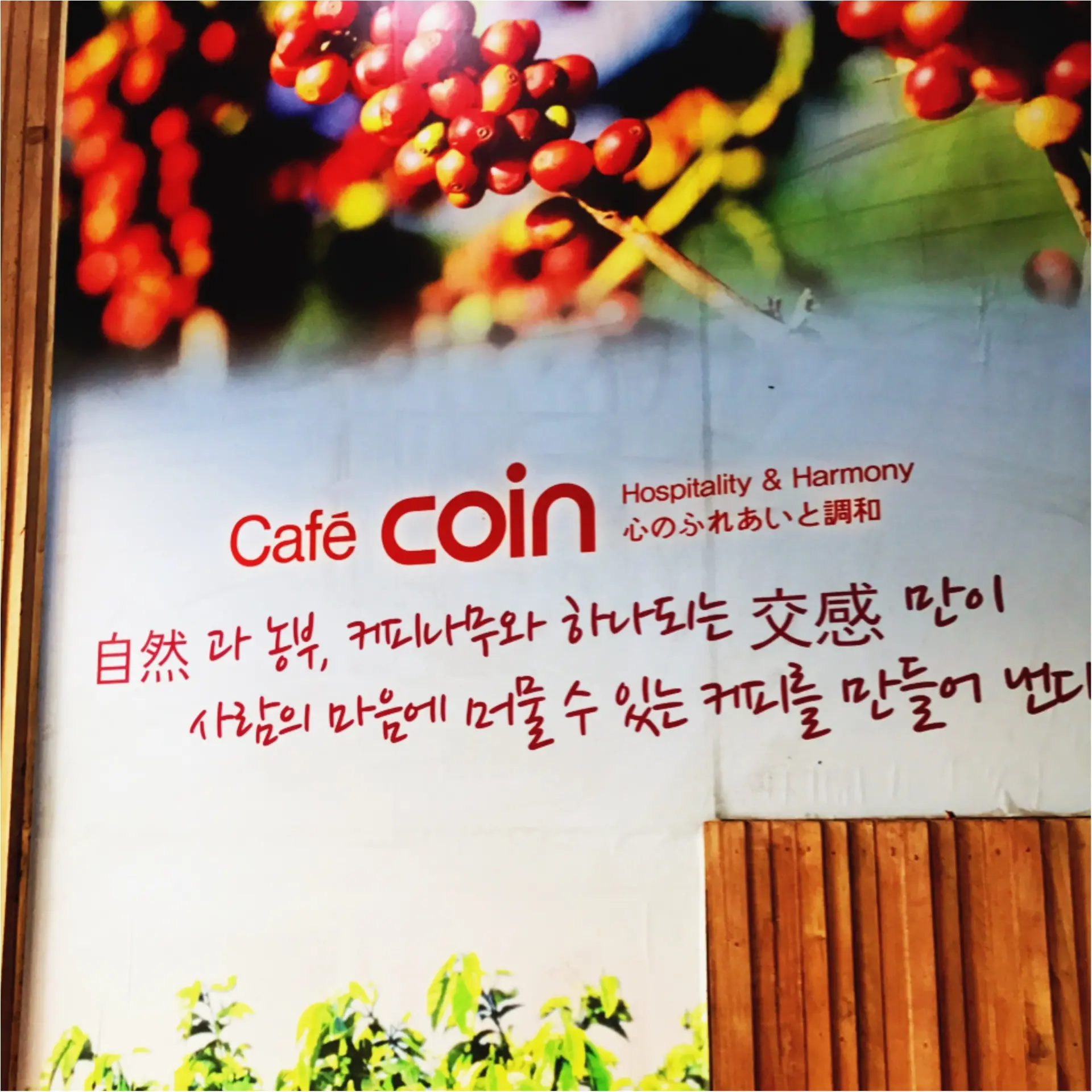 ★I♡strawberry!まだまだこっちは旬でした。定番ネタから変わり種まで!韓国苺スイーツ食べ尽くしツアー★_1