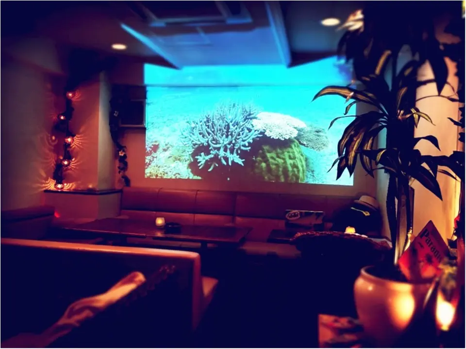 【Bar】池袋のパワースポット。おひとりサマでも◎_6