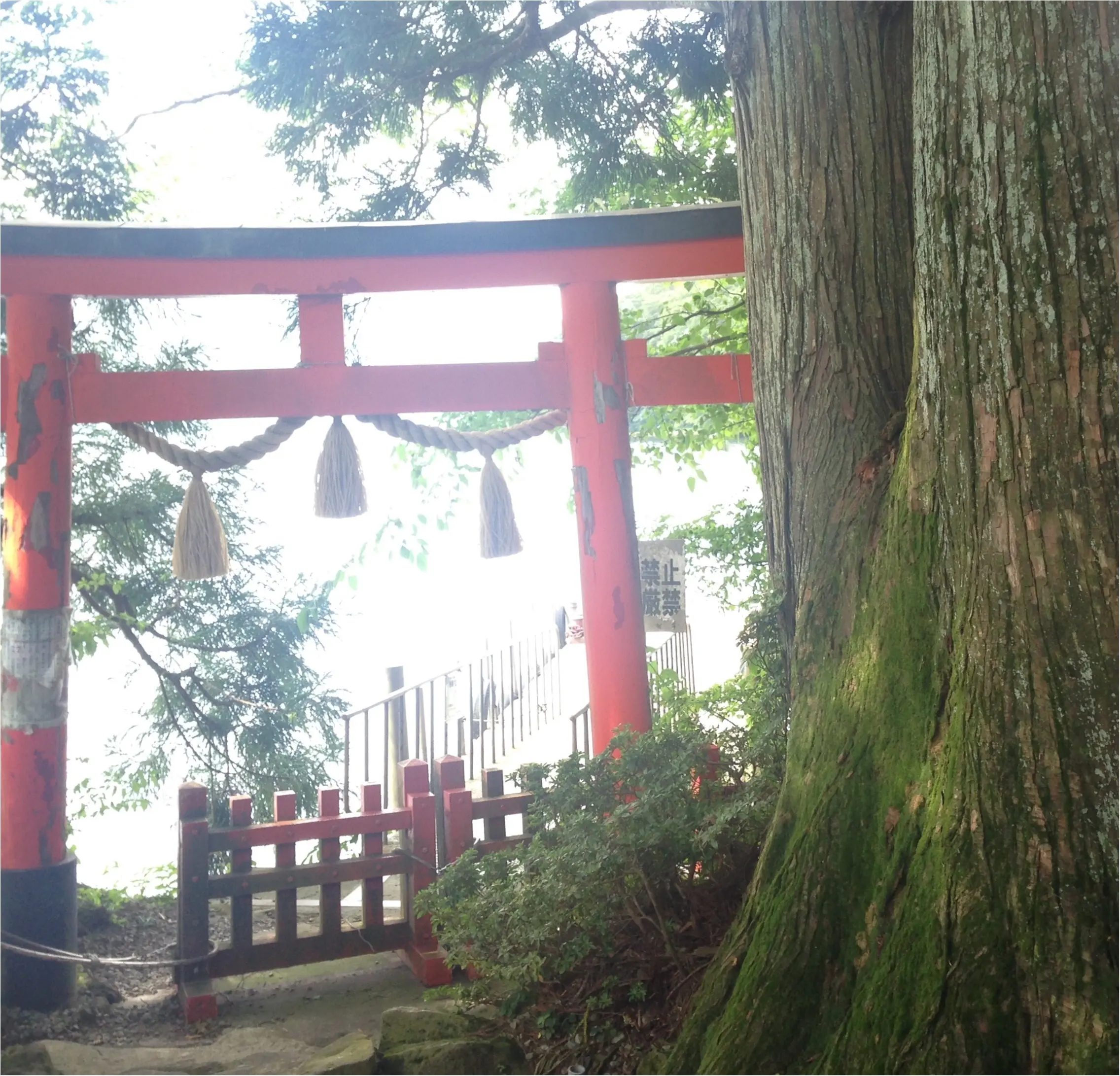 箱根女子旅特集《2019年版》- おすすめグルメ、人気の星野リゾート、パワースポットまで!_42