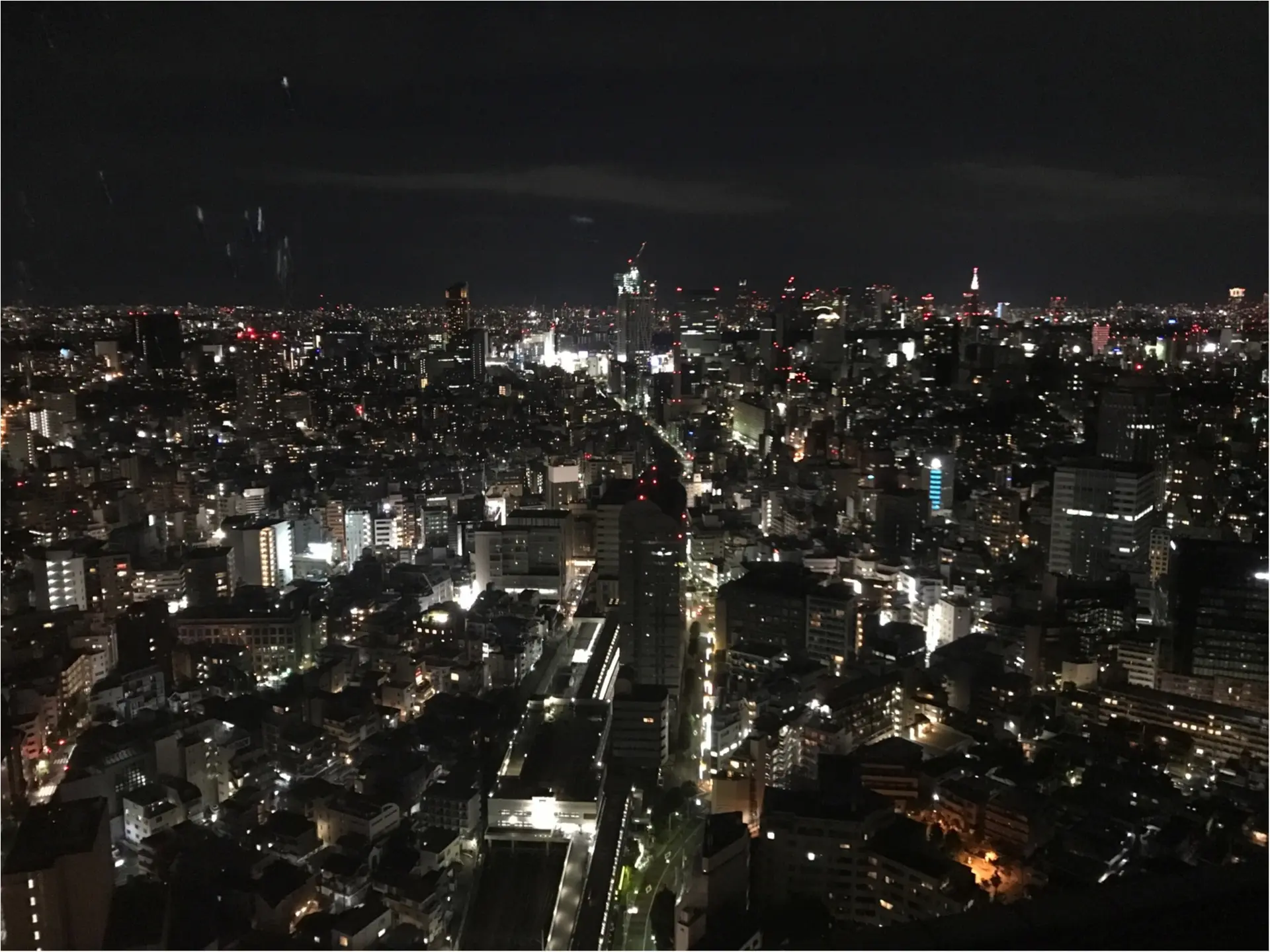 《極上の焼鳥》×《38階からの絶景》大人が楽しめる色気漂う焼鳥処が最高でした♡_6