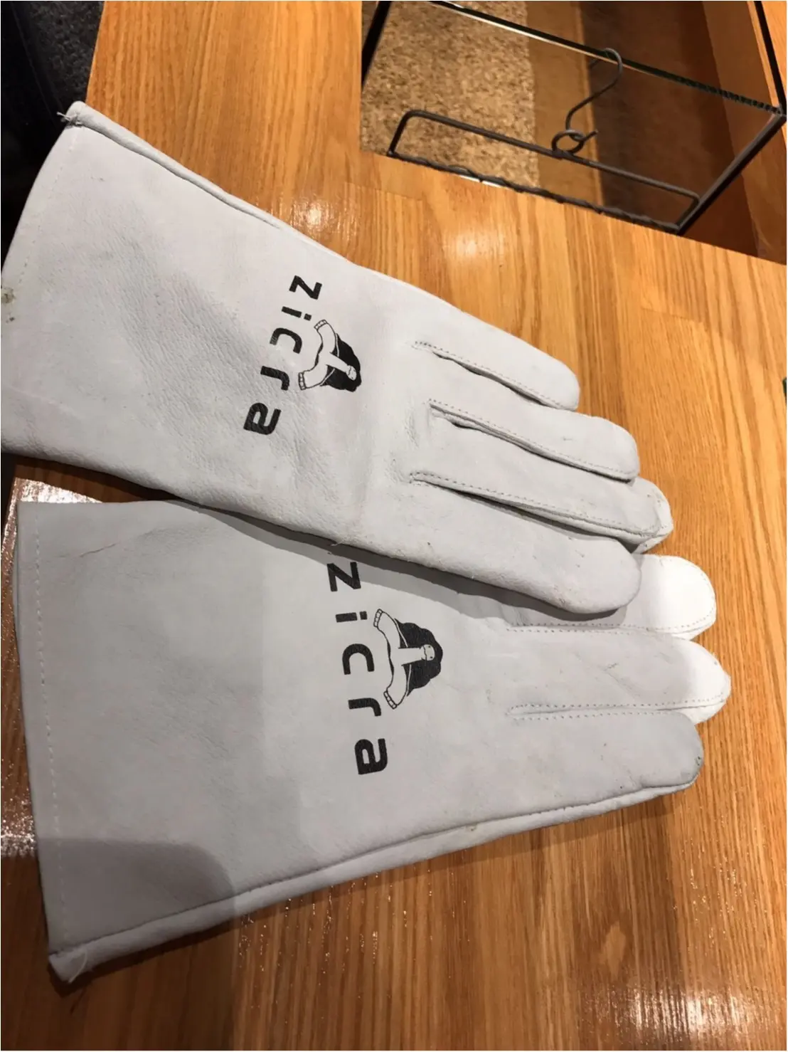 moco▶︎ハリネズミ専門店『HARRY』衝撃の癒し効果!_5