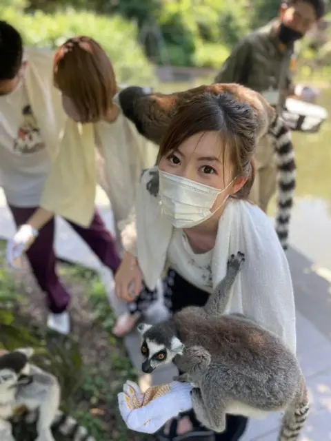ワオキツネザル