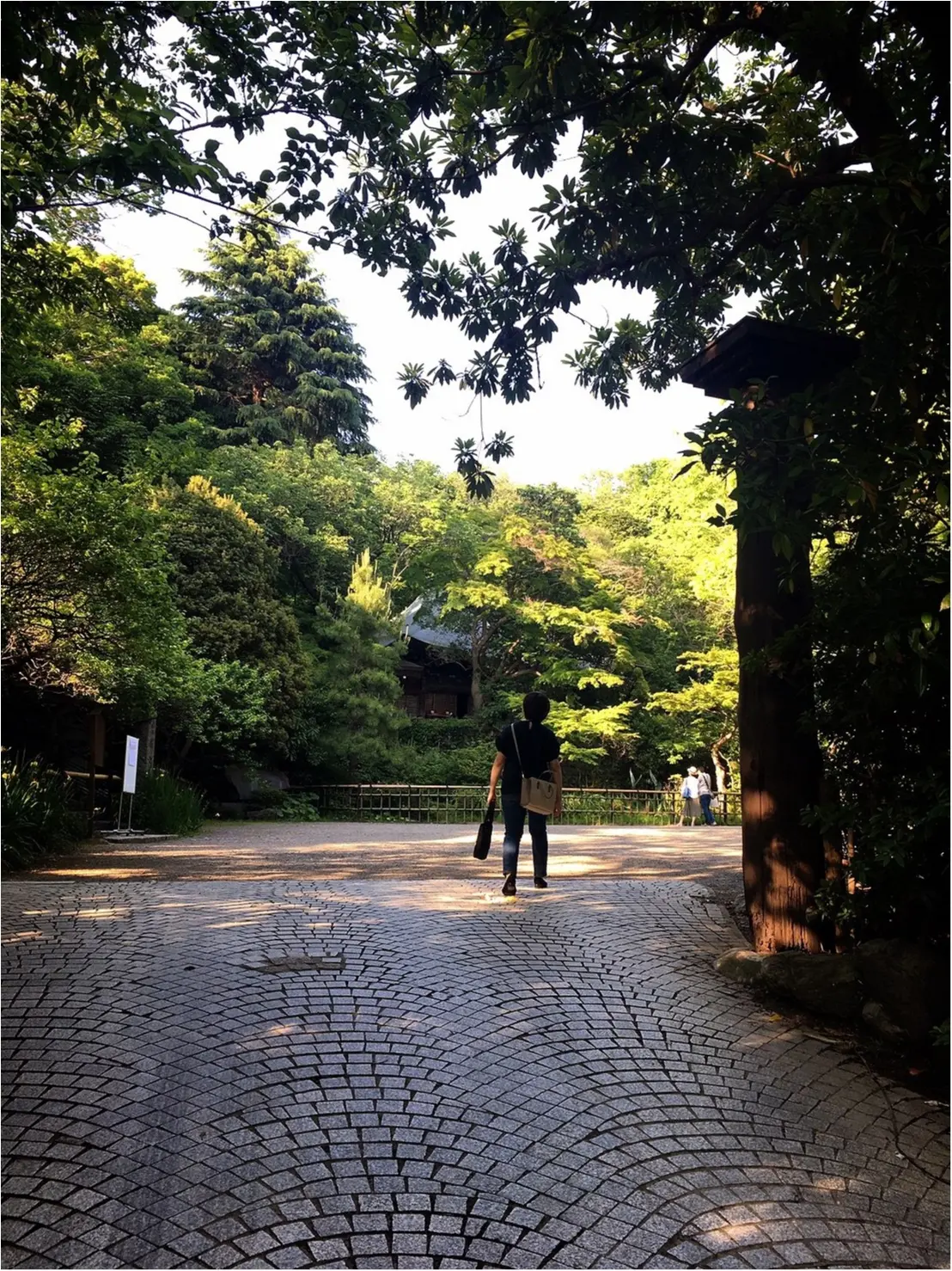 都会のオアシスとはこのこと!!お休みの日は癒しの空間でのんびりしよう_12