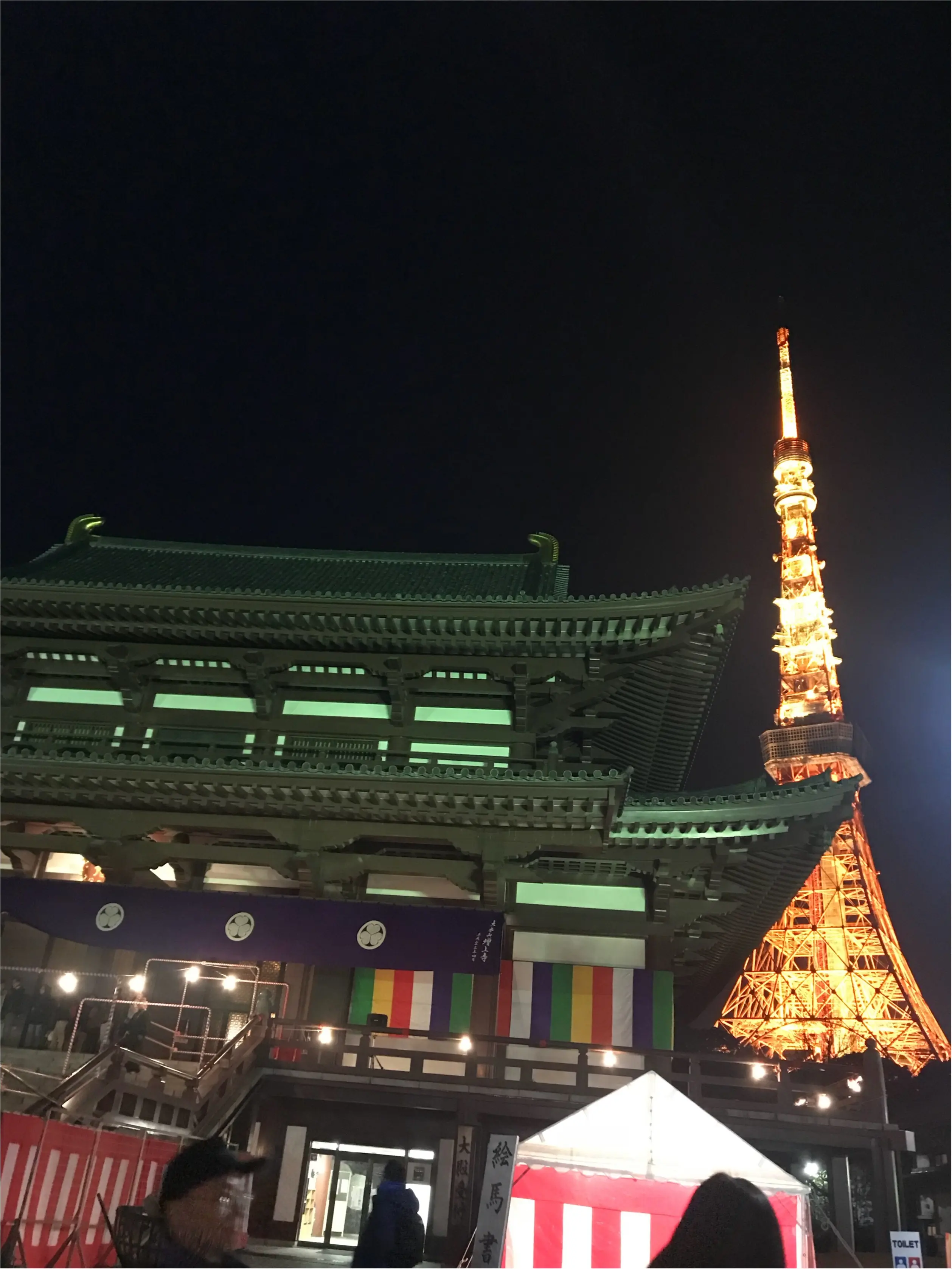 【東京タワー見ながら初詣】あけましておめでとうございます✭2018年もはっぴーな1年にするために♡すてきスポットで初詣に行きましょう!_3