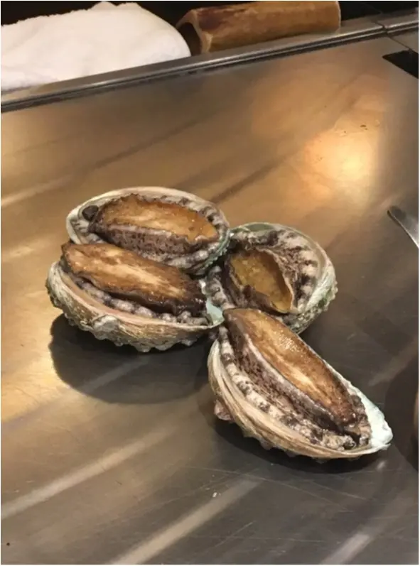 記念日にぜひ❤️シェフが目の前で焼いてくれる夢の鉄板焼フルコース!♡鮑にフォアグラに贅沢ディナー。_7