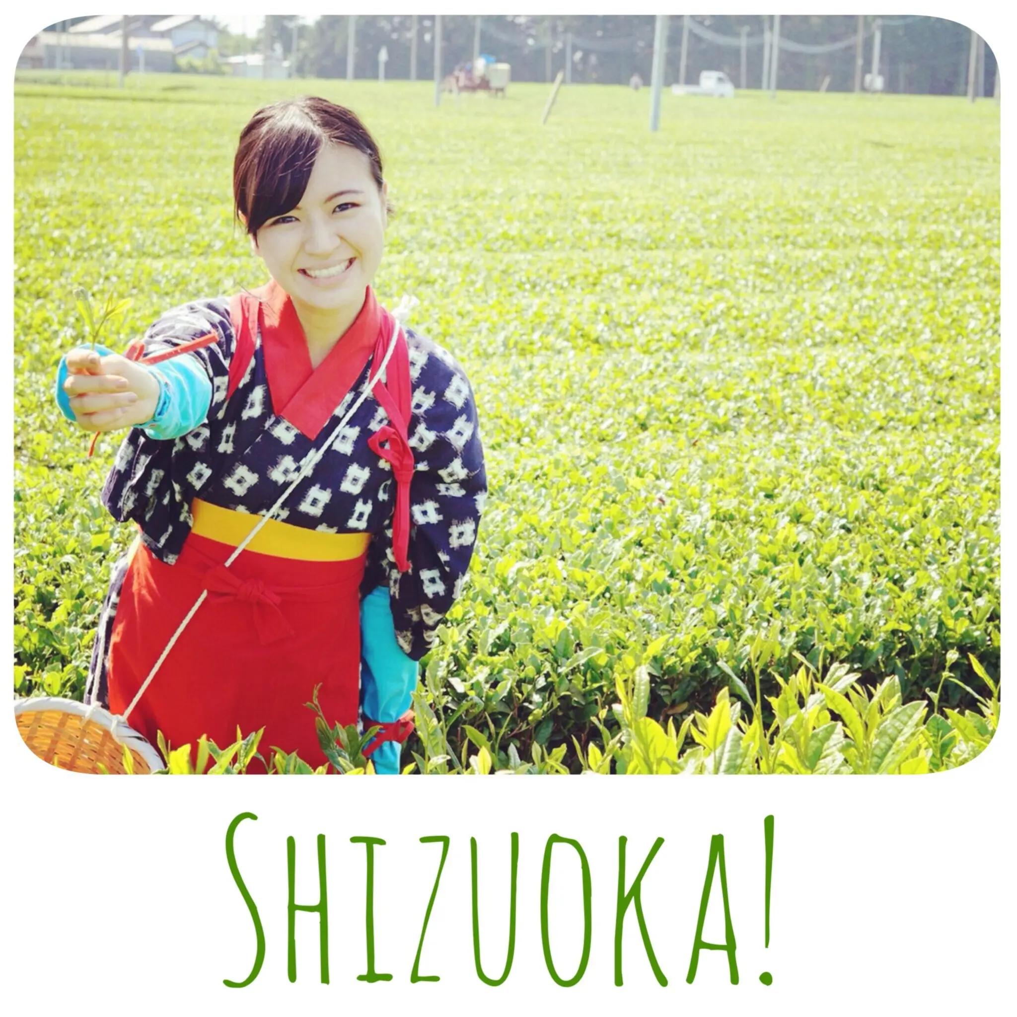 茶摘み娘を体験 静岡で非日常な時間を楽しもう Moreインフルエンサーズブログ Daily More