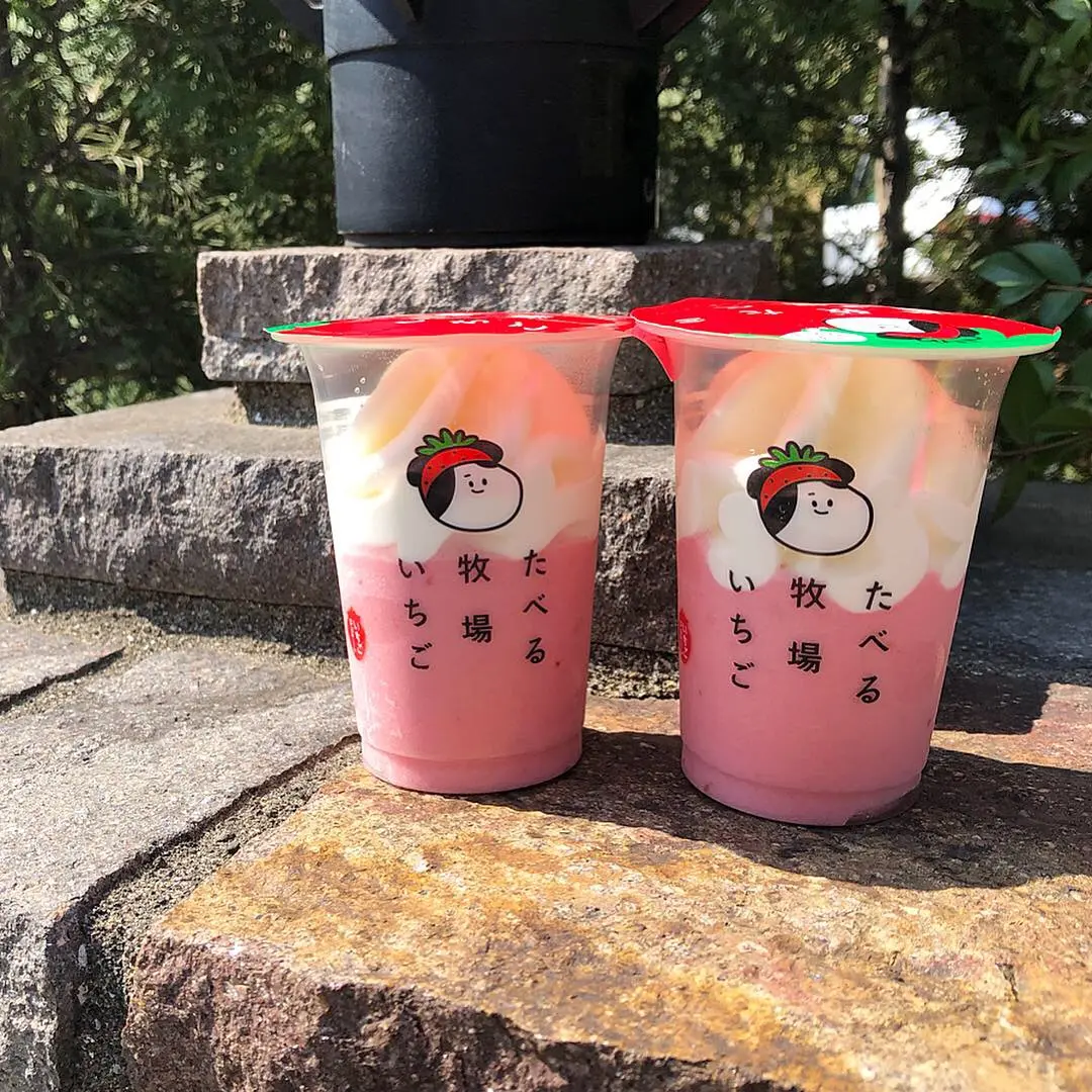 可愛さもおいしさもダントツ!【たべる牧場いちご】完売前にゲットして❤️_1
