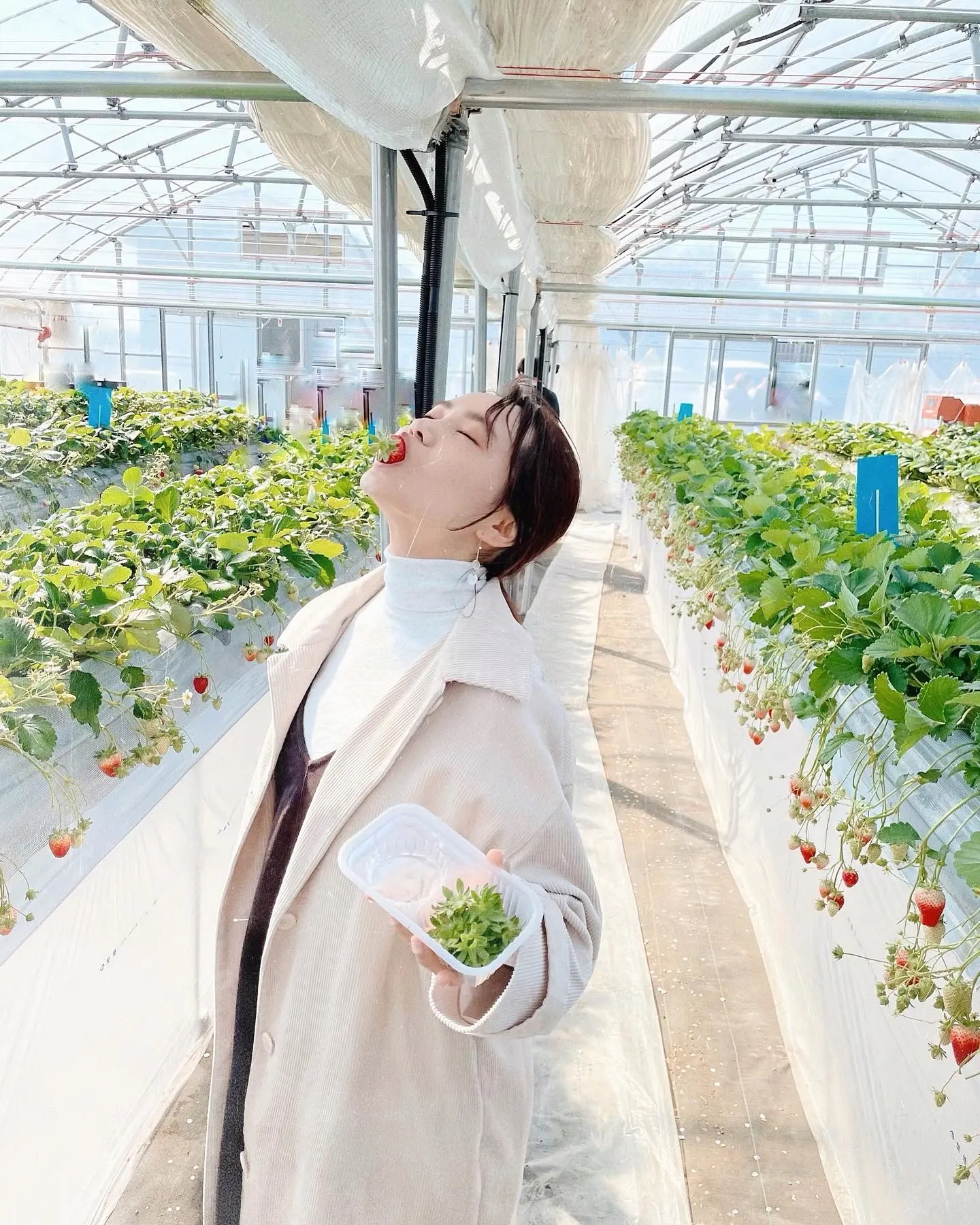 【おすすめいちごスイーツ】4種食べ放題!ビュッフェ感覚の苺狩り✍︎︎_6