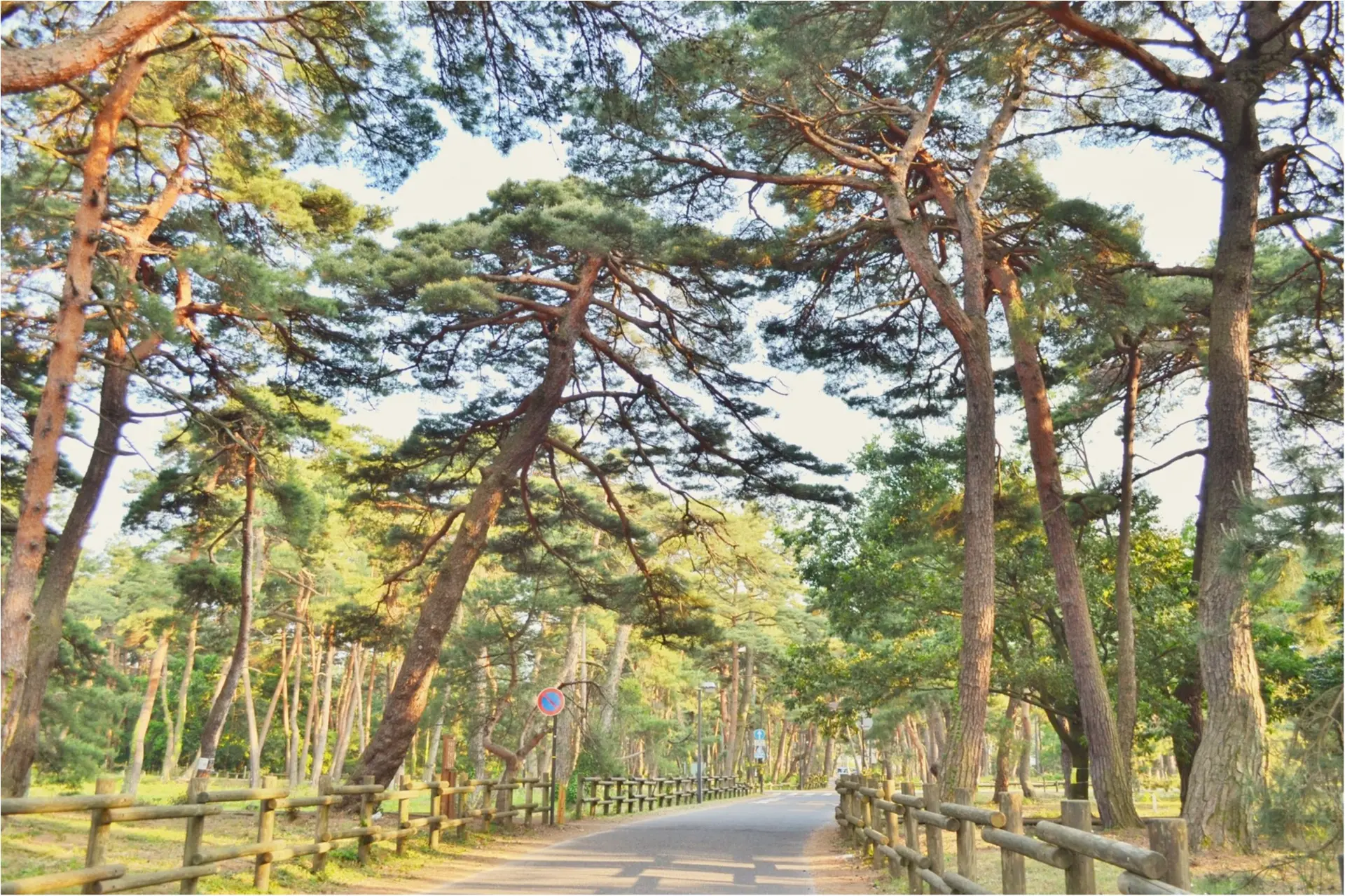 後編♡ 次の週末にオススメしたい!福井の魅力ー美しすぎる5つの絶景_1