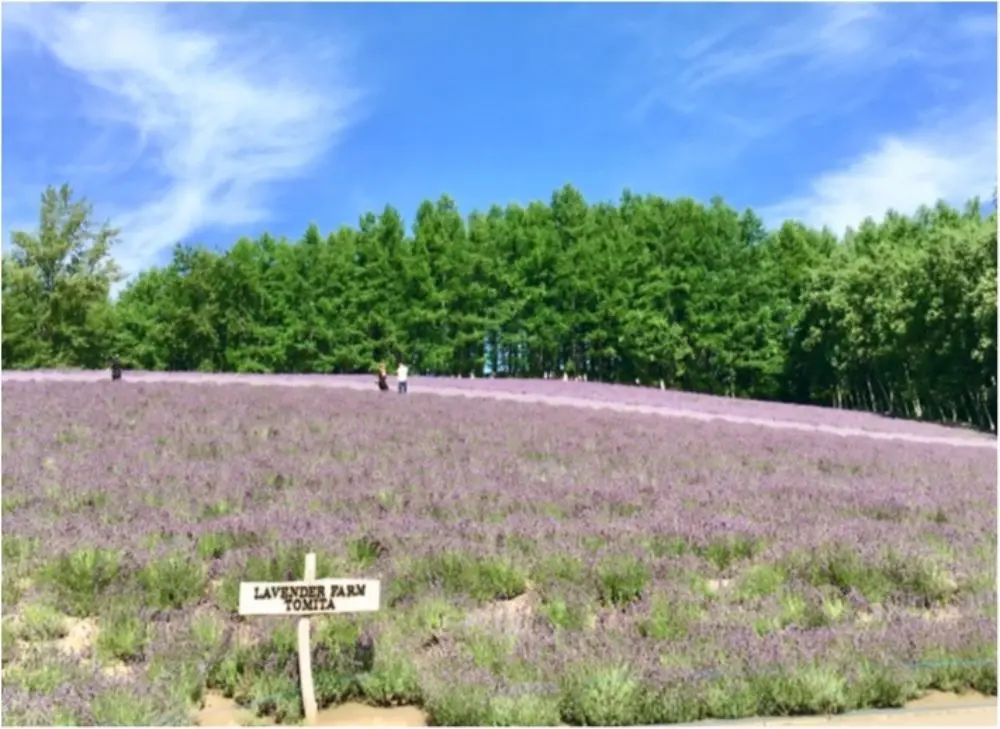 北海道女子旅特集 - インスタ映えスポットやカフェ、ご当地グルメなどおすすめ観光地まとめ_28