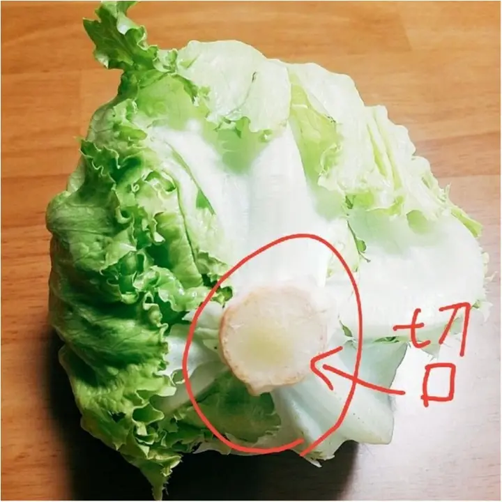 野菜情報!ダイエットに効果的な野菜って?&野菜の見分け方 【#モアチャレ 農業女子】_3
