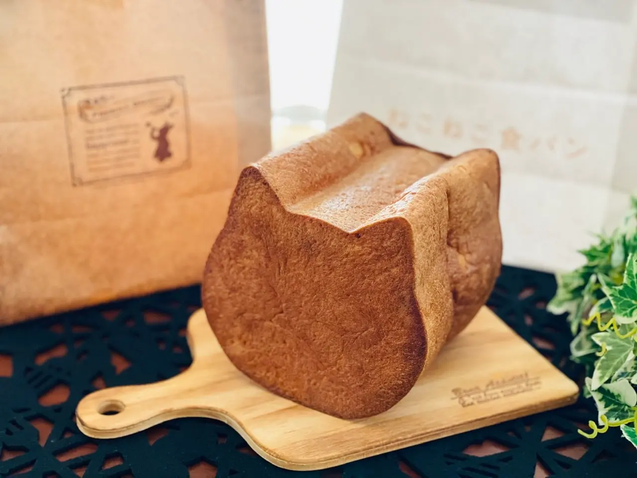 【オンライン販売開始!】可愛さ満点で売切れ続出!念願の《ねこねこ食パン》をGET♡_2