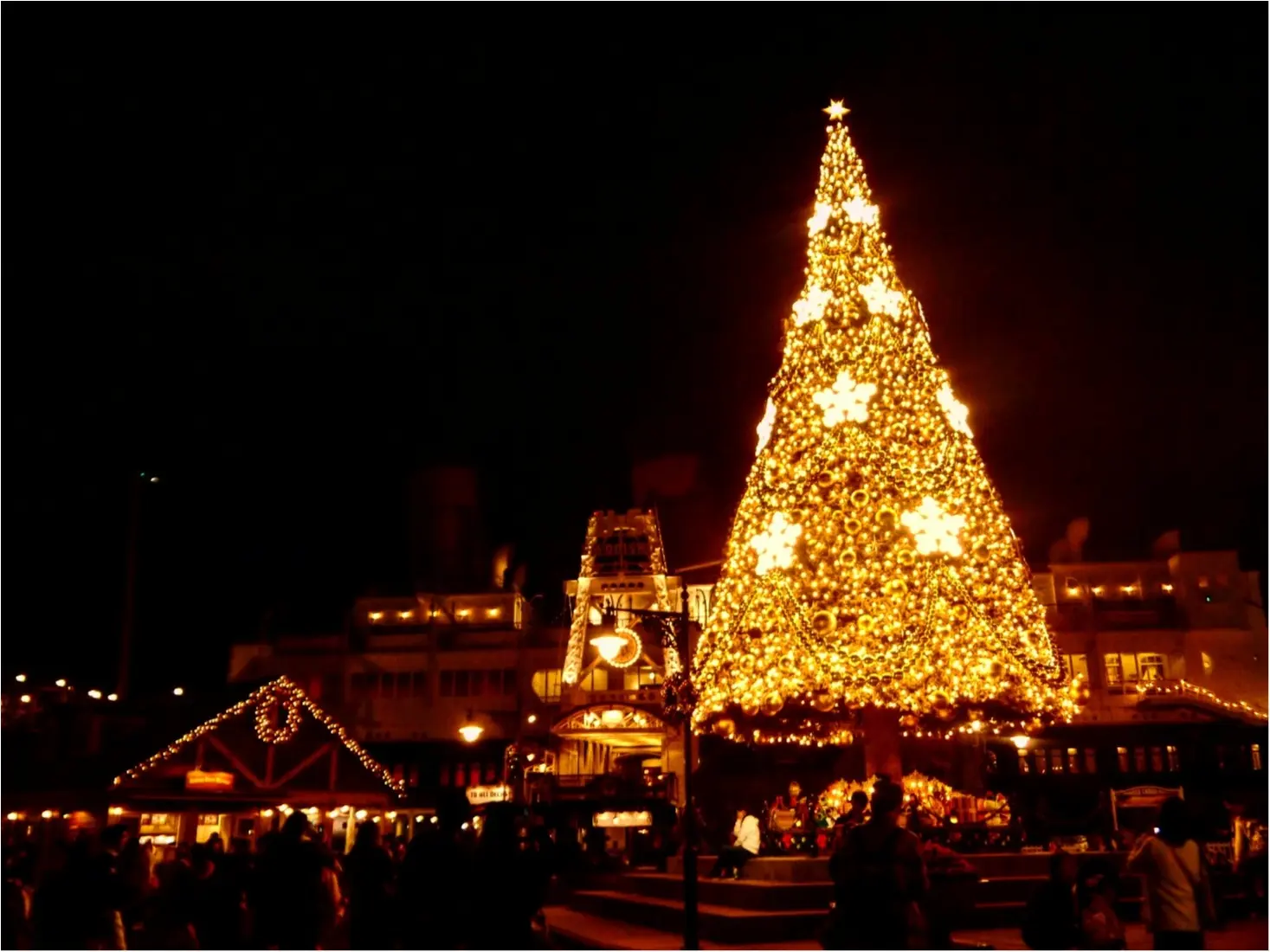 【イベント】11月8日(水)から スタート!東京ディズニーシー『クリスマス・ウィッシュ』に行ってきました *.゜_11