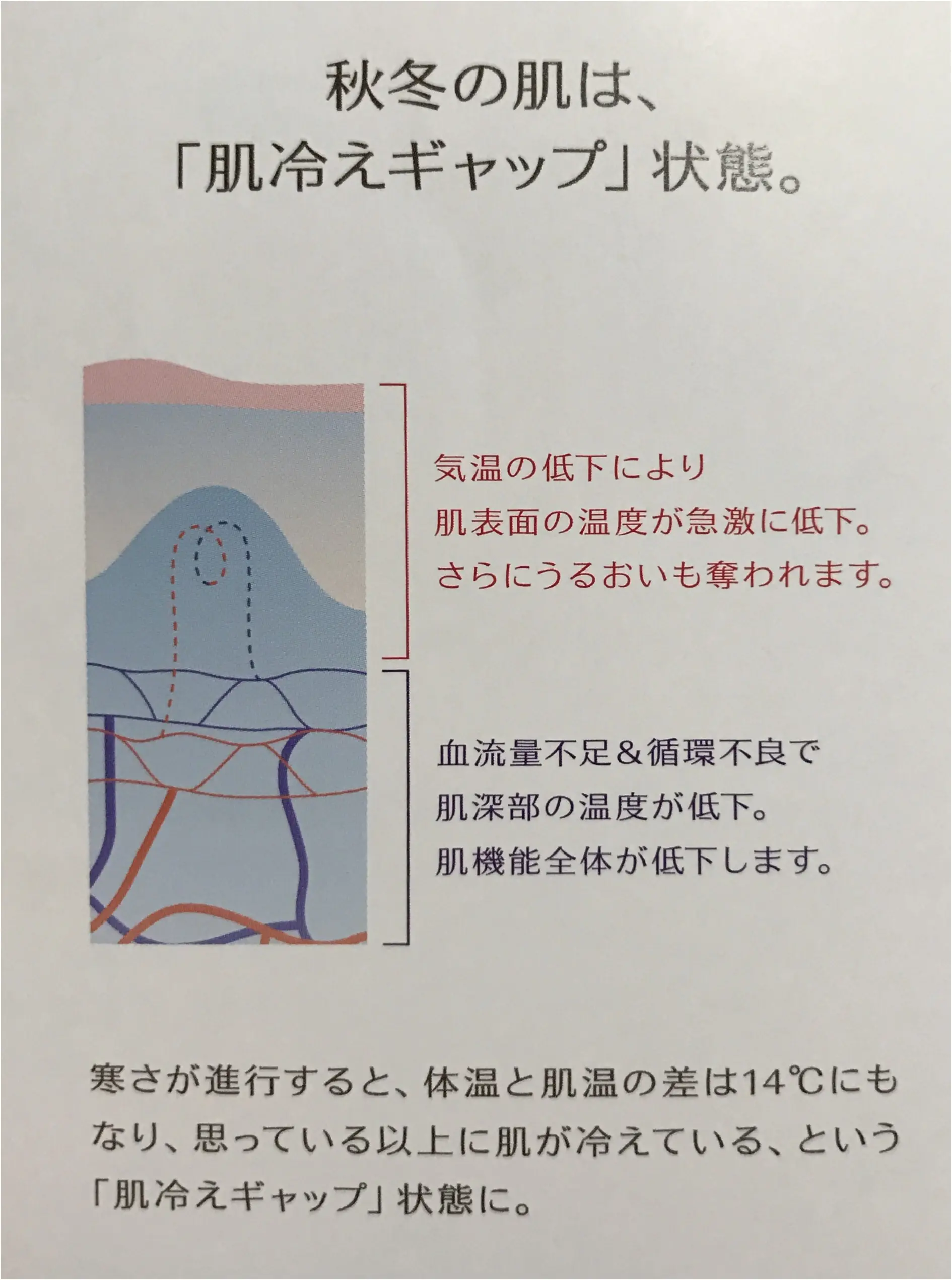 季節の変わり目、注目すべきは"肌温度"❤︎ベネフィークの高保湿美容液でうるおい肌に!_2
