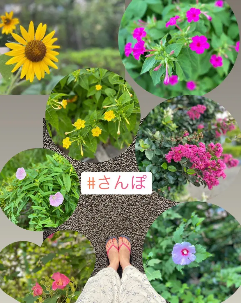 【季節のフルーツパフェ】大好きなフルーツがたくさんのったパフェを堪能_1