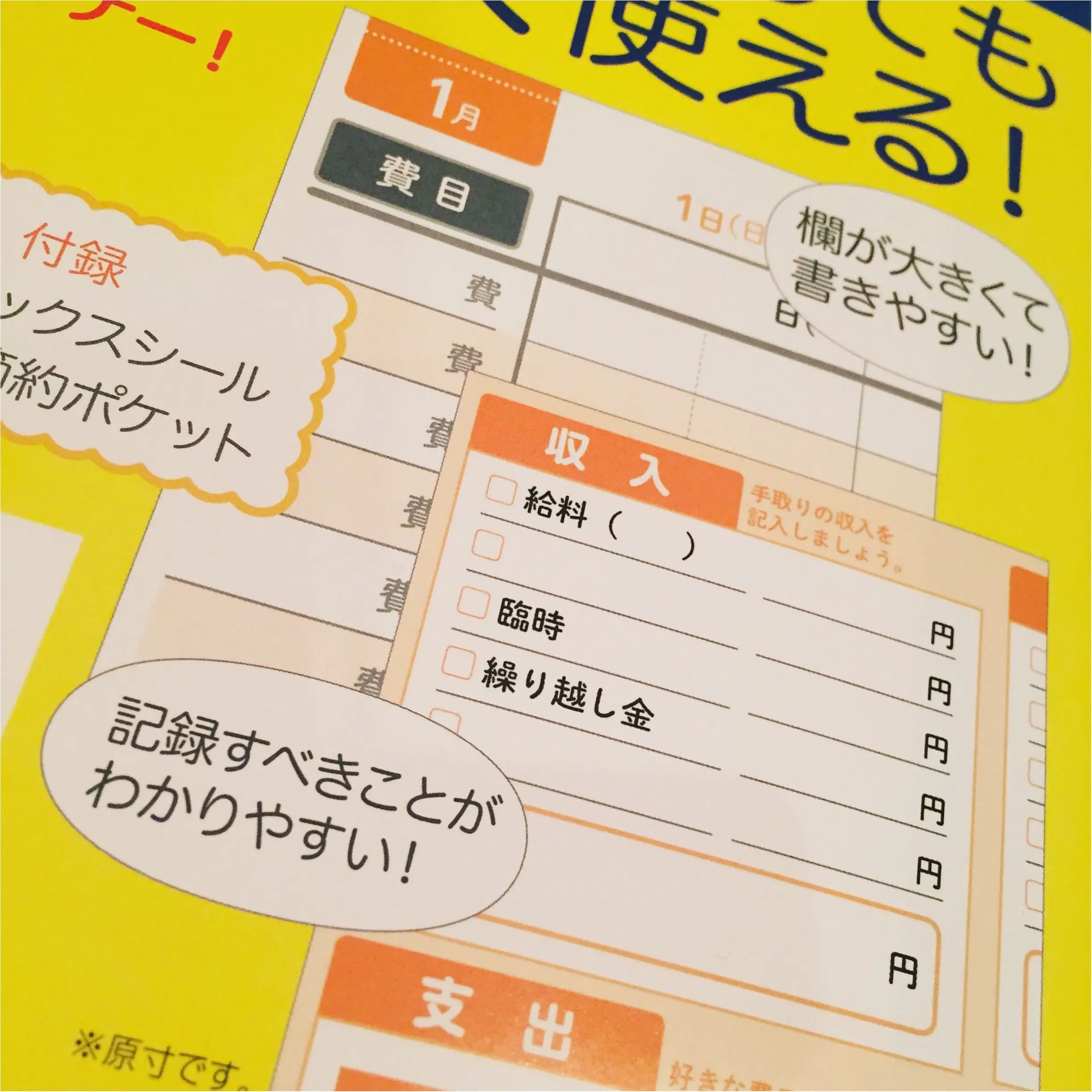 節約したい2017年!! 家計簿はシンプルで使いやすいロングセラーアイテムに決定♪♪_3