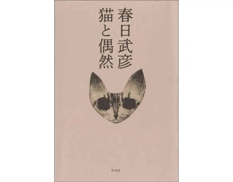 猫と偶然