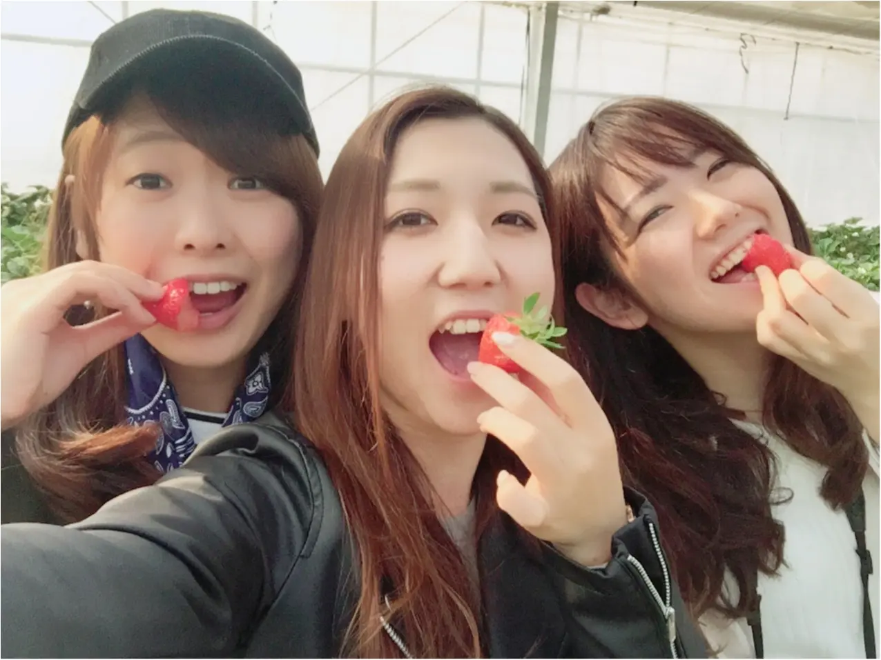 お出かけ好きにオススメなのはバスツアー♡_11