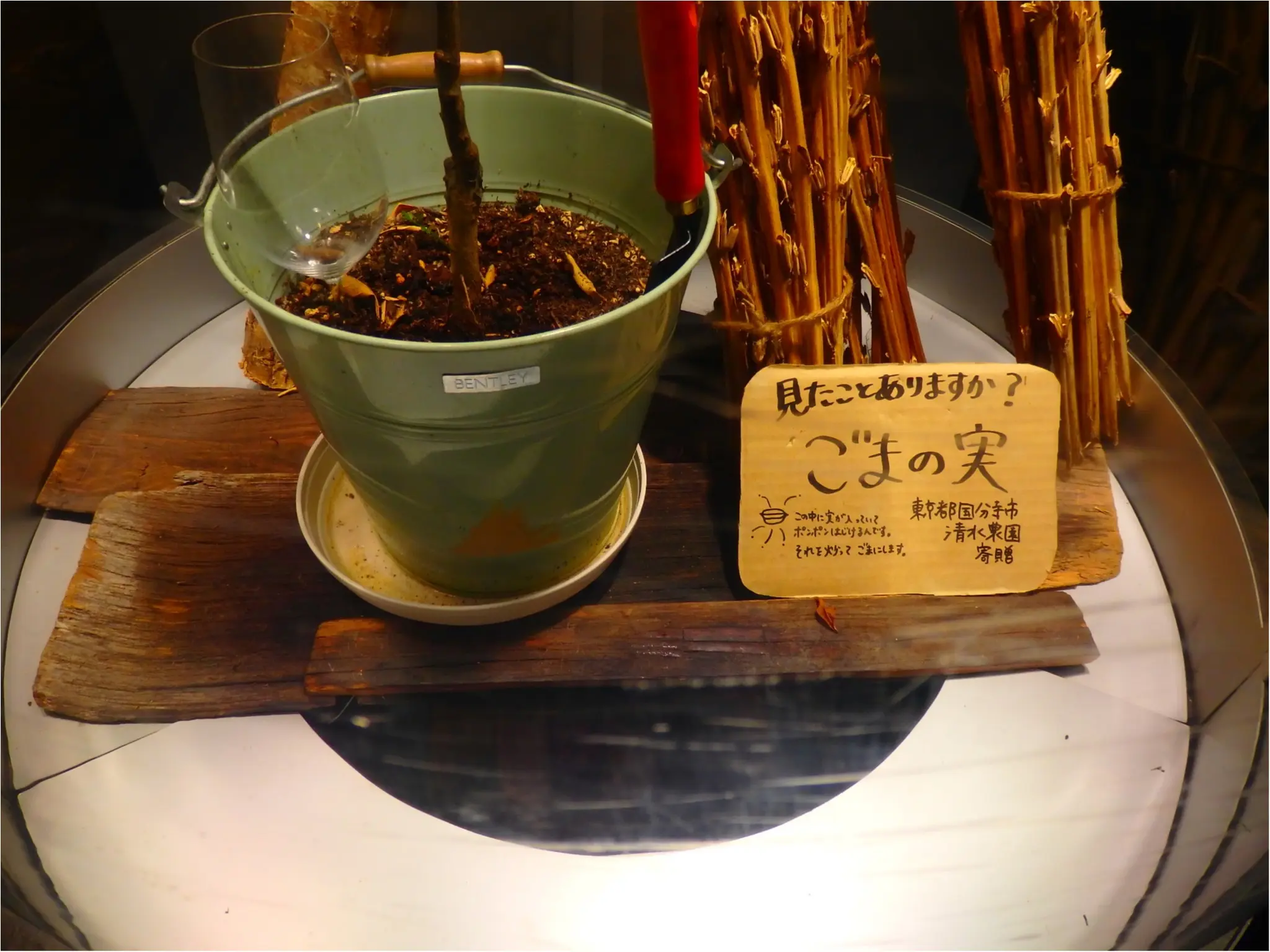 【感動】野菜嫌いが「野菜大好き!」になるお店、知ってる?_21