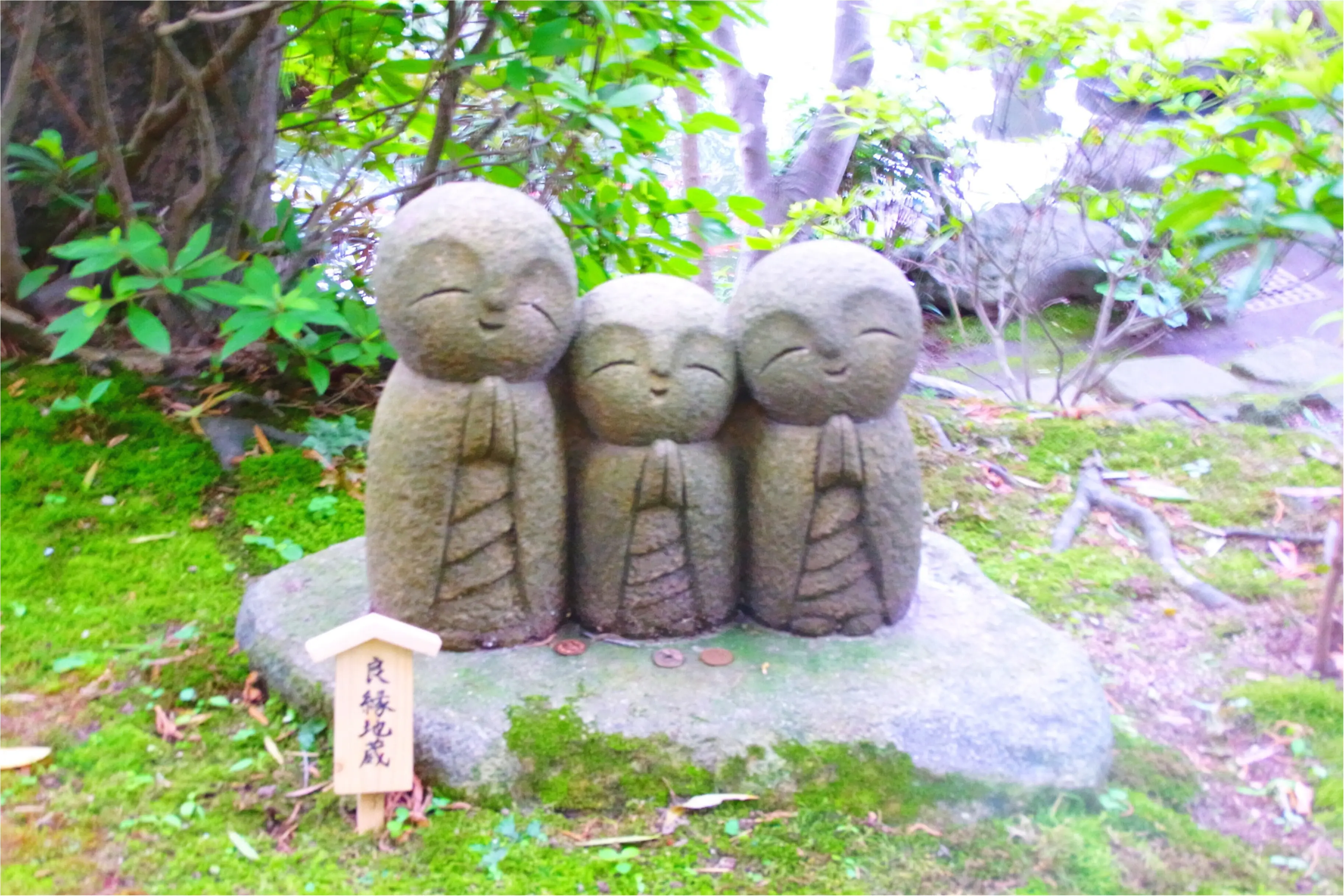 *穏やかな暮らしに出会う旅*1泊2日の古都鎌倉観光_24