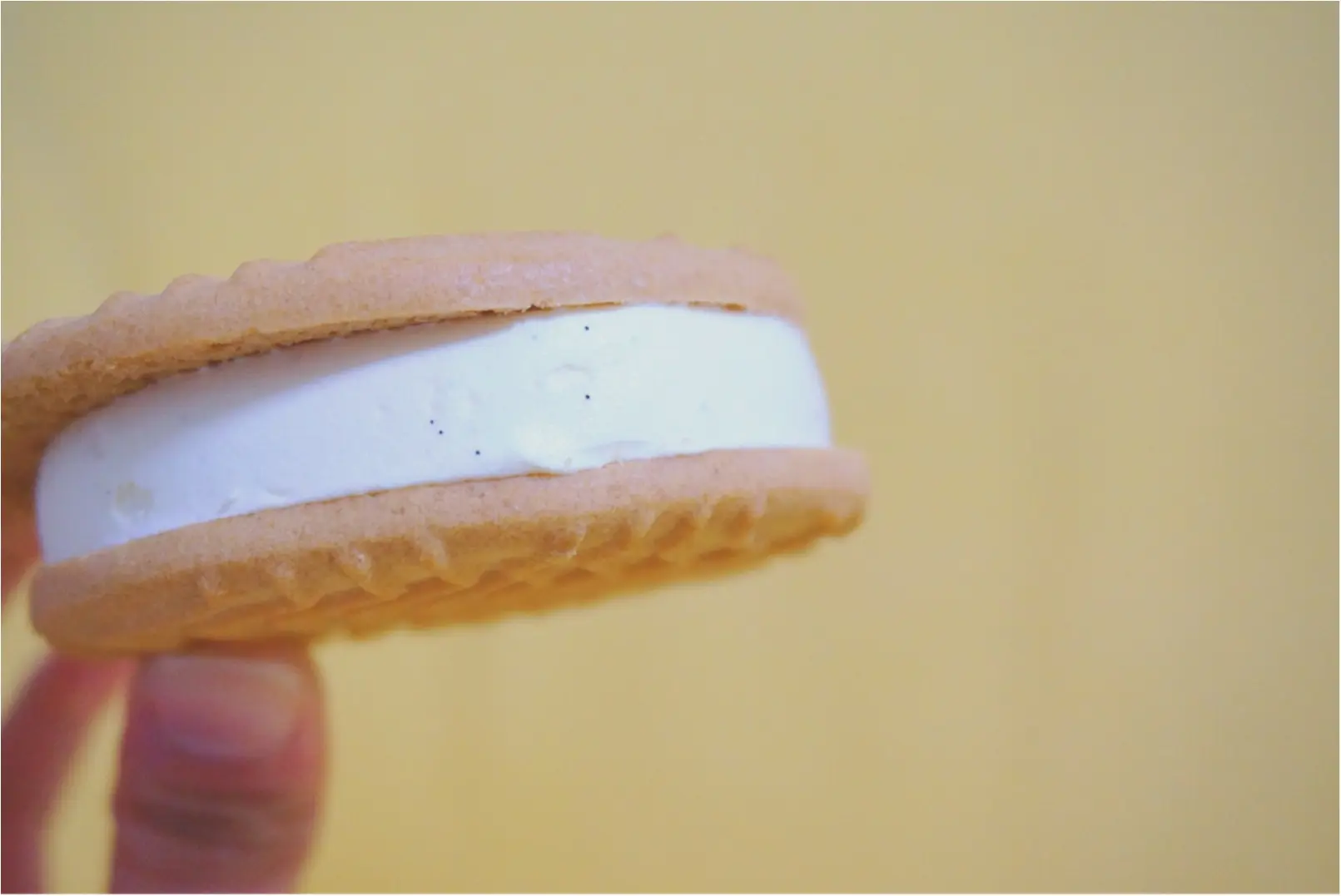 最近の【セブンイレブン限定アイス】がどれもこれもおいしすぎるっ❤️《今食べるべき冬アイス》3選!!_10