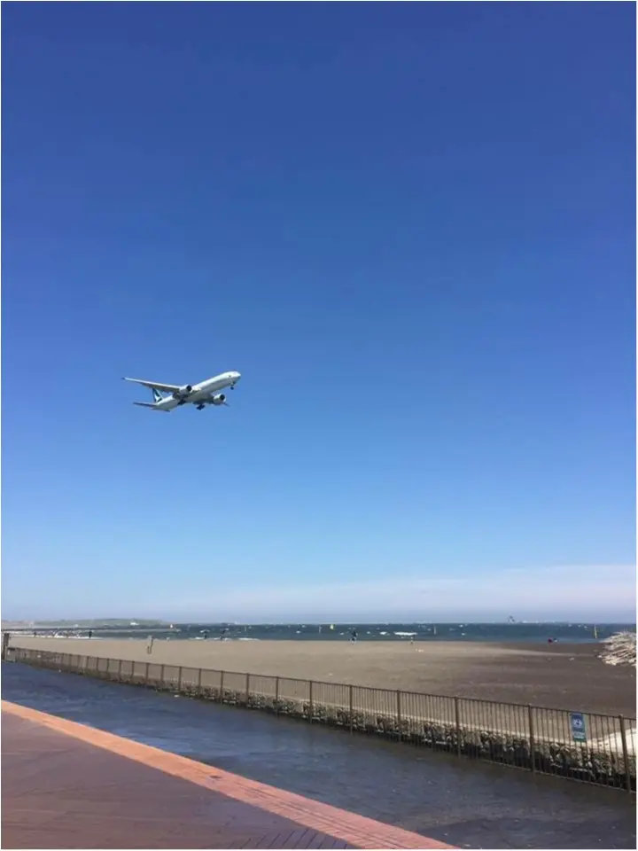 インスタ映え〜〜✨✨するように撮ってみてください!_5