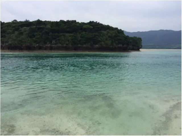 【沖縄離島の旅①】大自然を満喫!石垣島ドライブ_8