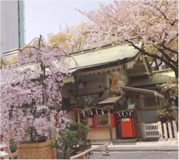【大阪パワースポット巡り】桜のキレイな露天神社で春に向けて良縁祈願を♡_1