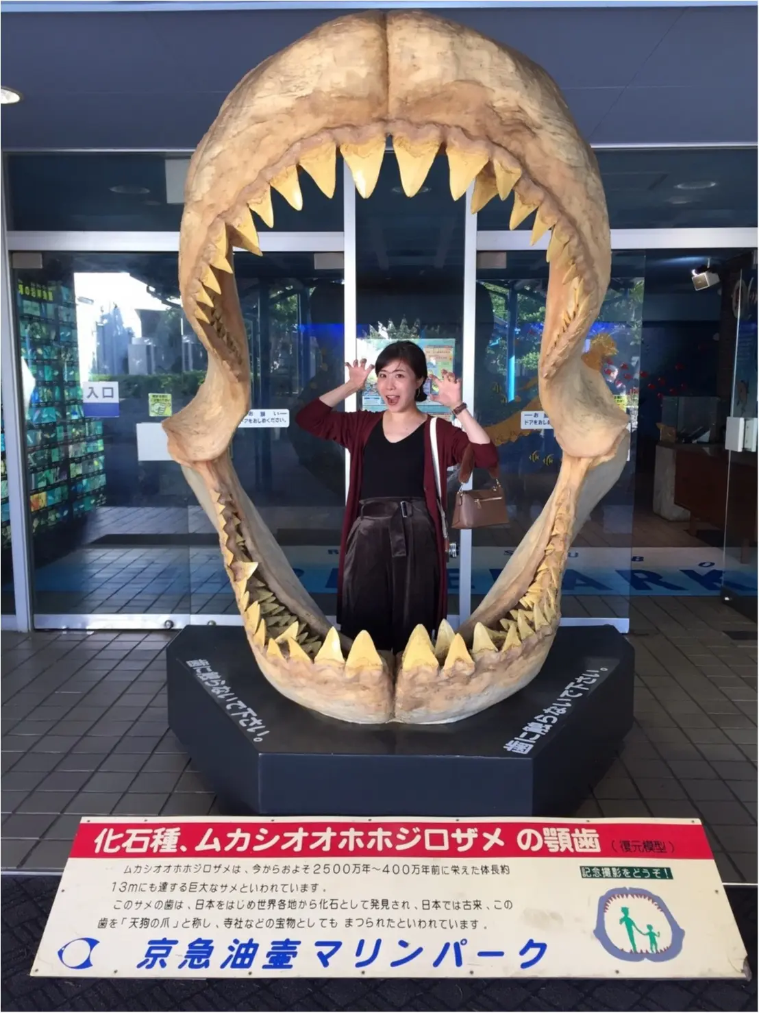 【食・観・遊】とってもお得な切符で三浦半島を満喫❤︎_4
