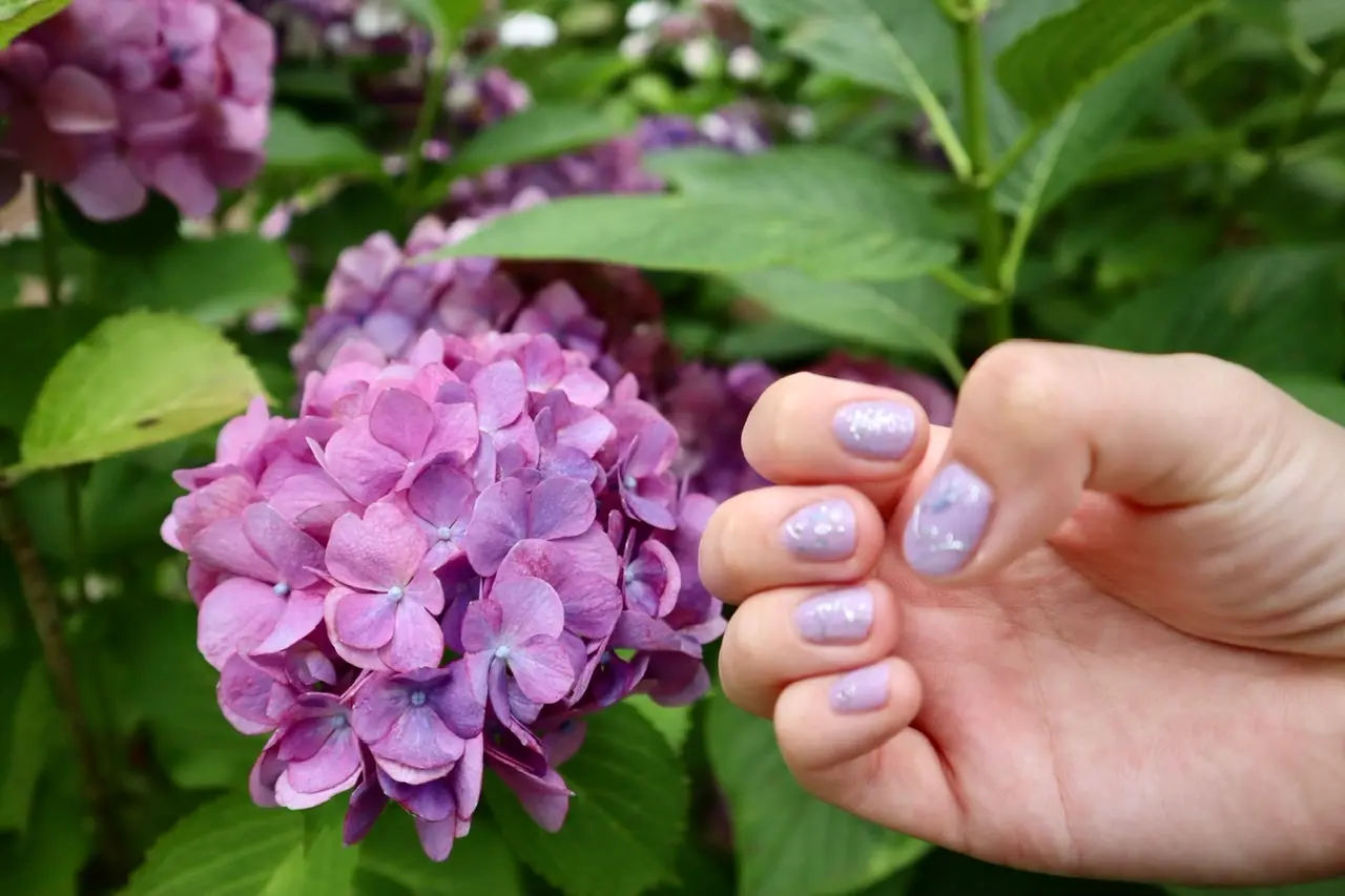 また別の紫陽花とネイルアートを並べて撮影した写真