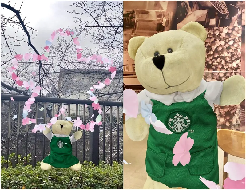 さくらフレームAR。（左）小さいサイズ（右）大きいサイズ