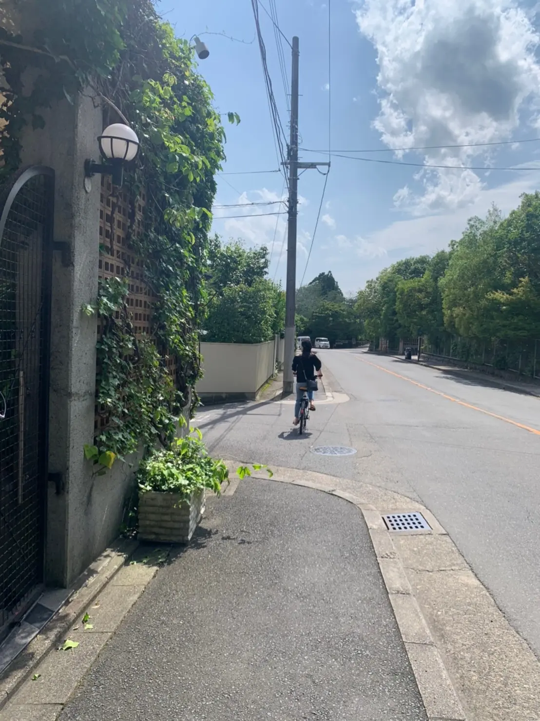 【京都旅第一弾】北野天満宮・龍安寺①_6