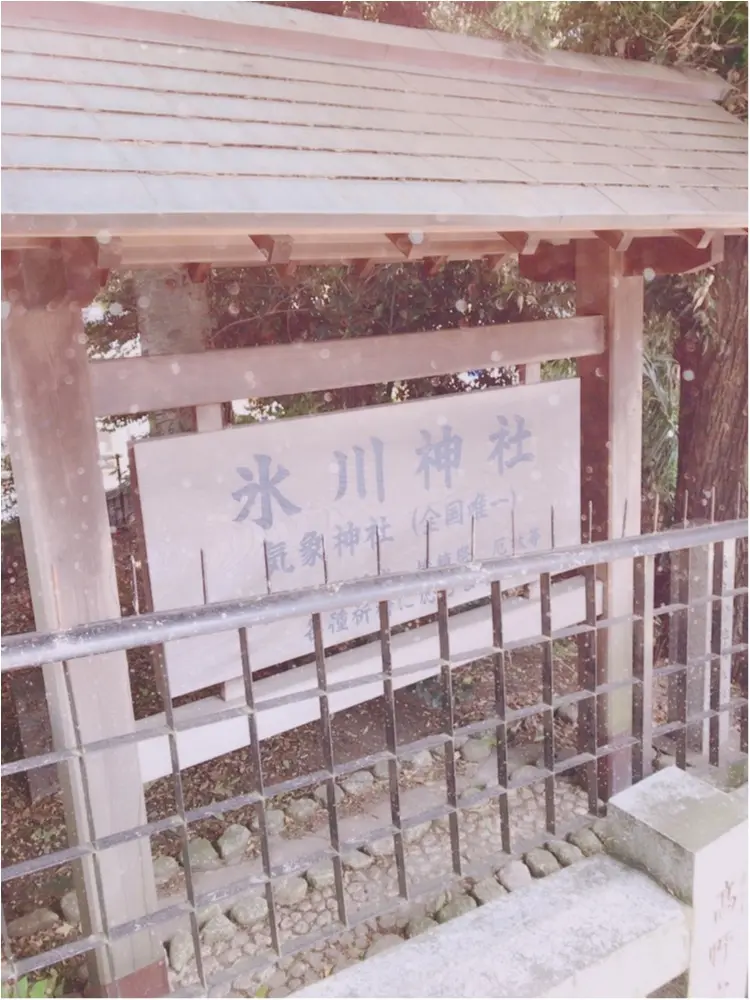 【プレ花嫁】全国で唯一♡お天気の神様がいる「氷川神社」で晴天祈願!@高円寺_1