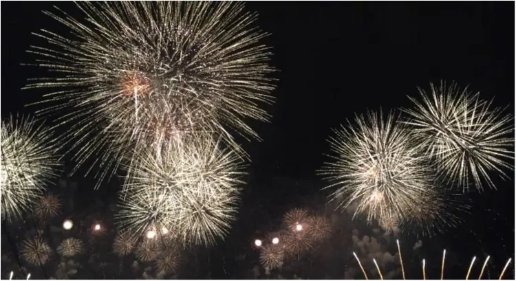 【秋の花火大会】日本三大花火が関東で見れる!!今年まだ花火を見ていない人必見♡♡詳細と去年の花火大会をお伝えします♡_3