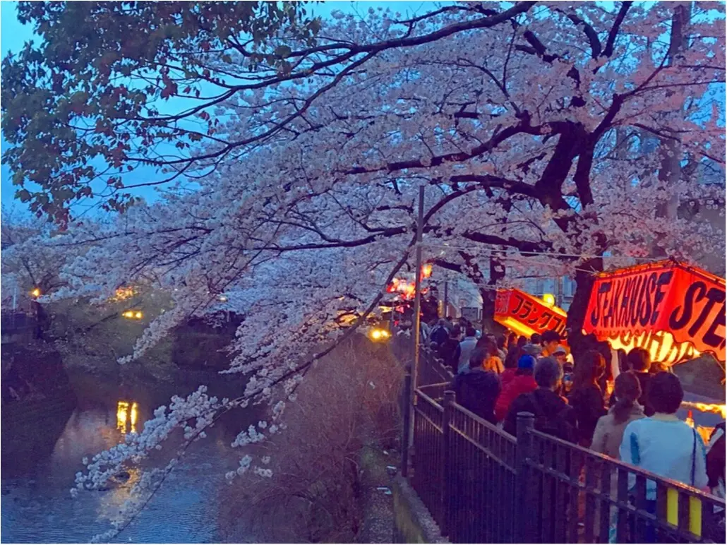 ブルーライン地下鉄で行くお花見スポット♪_1