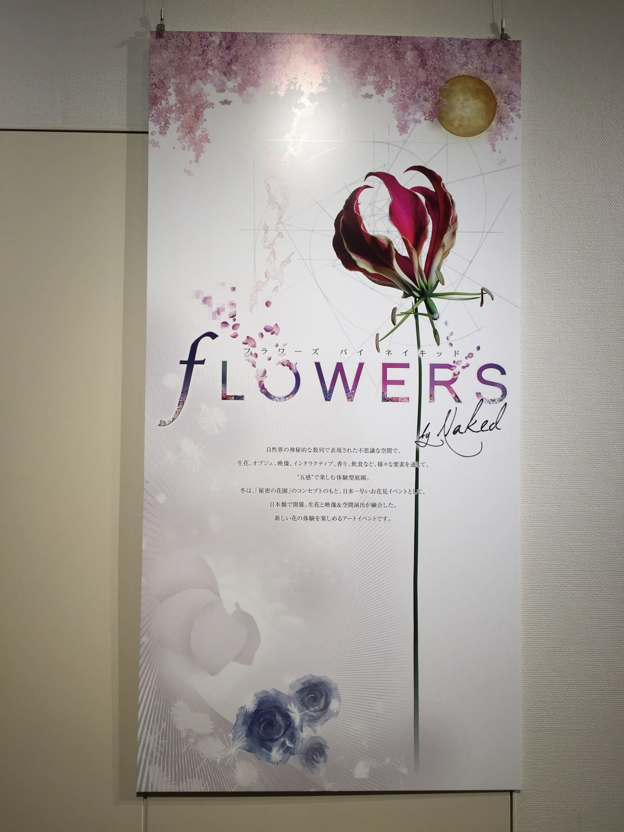 【8/31まで】五感で楽しむ花の楽園《*FLOWERS BY NAKED*》に行ってきました♪♪他にもNAKEDに出会える場所を紹介☆_19