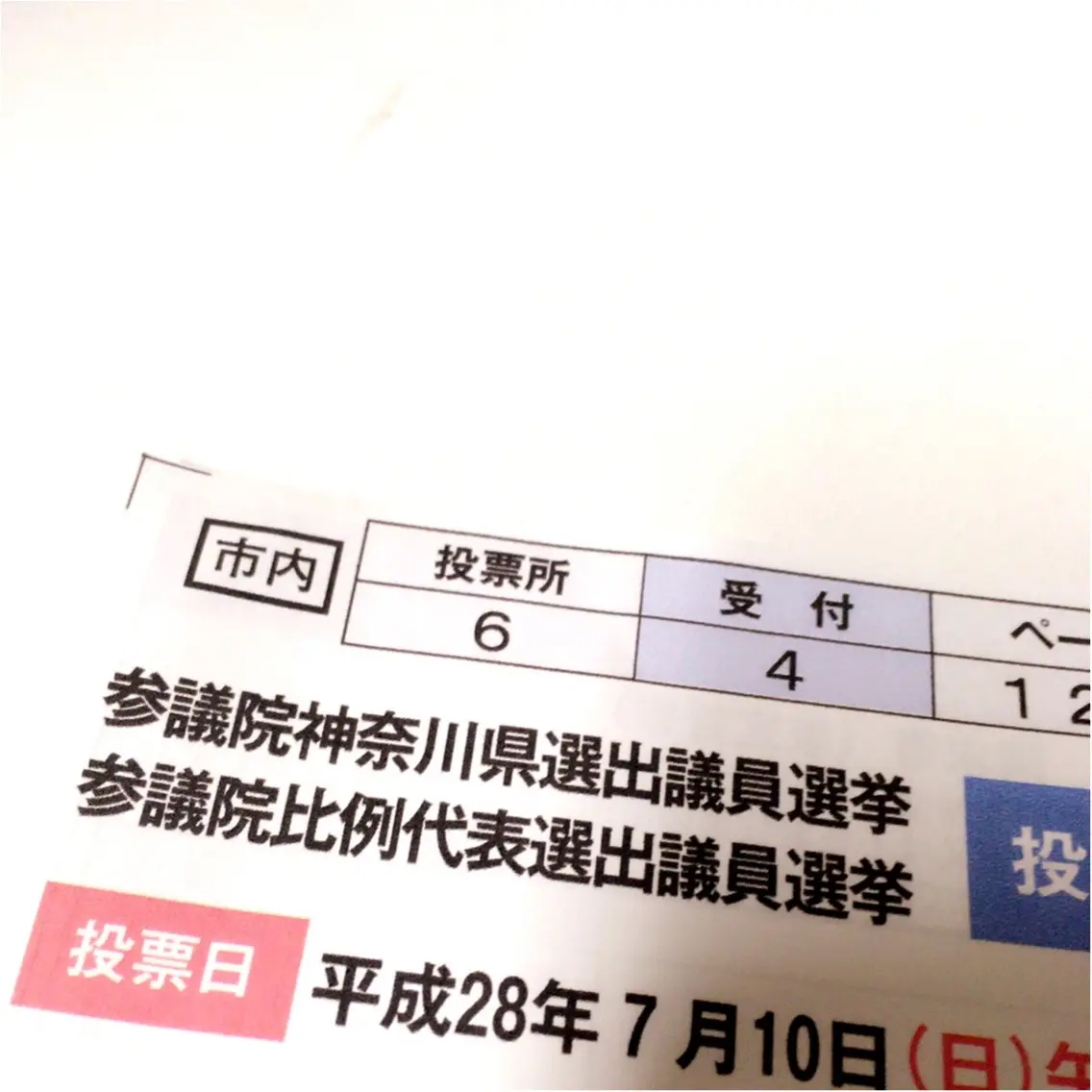 今日は投票日です!_2