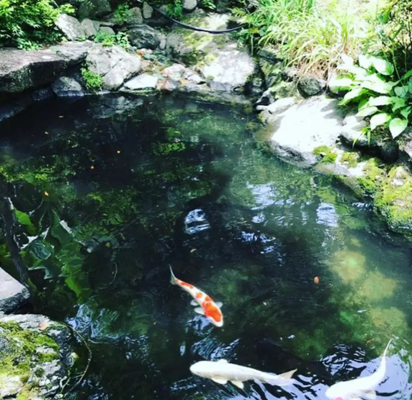 ランチ@蘇州園_2