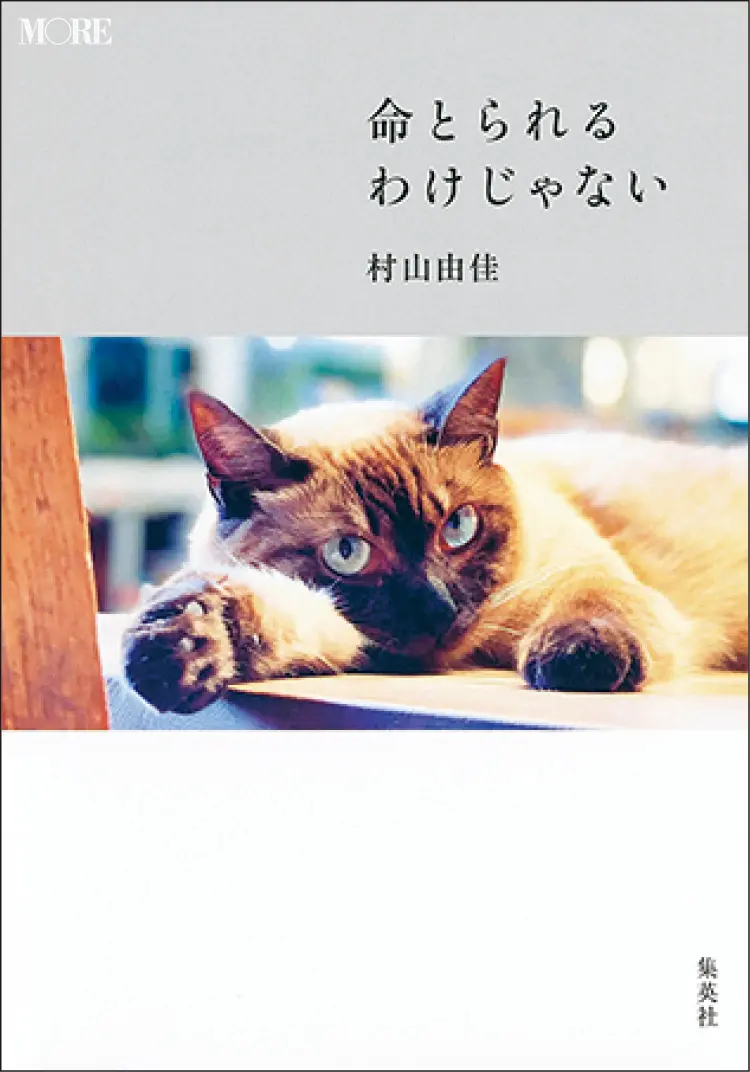 おすすめ本。『命とられるわけじゃない』村山由佳