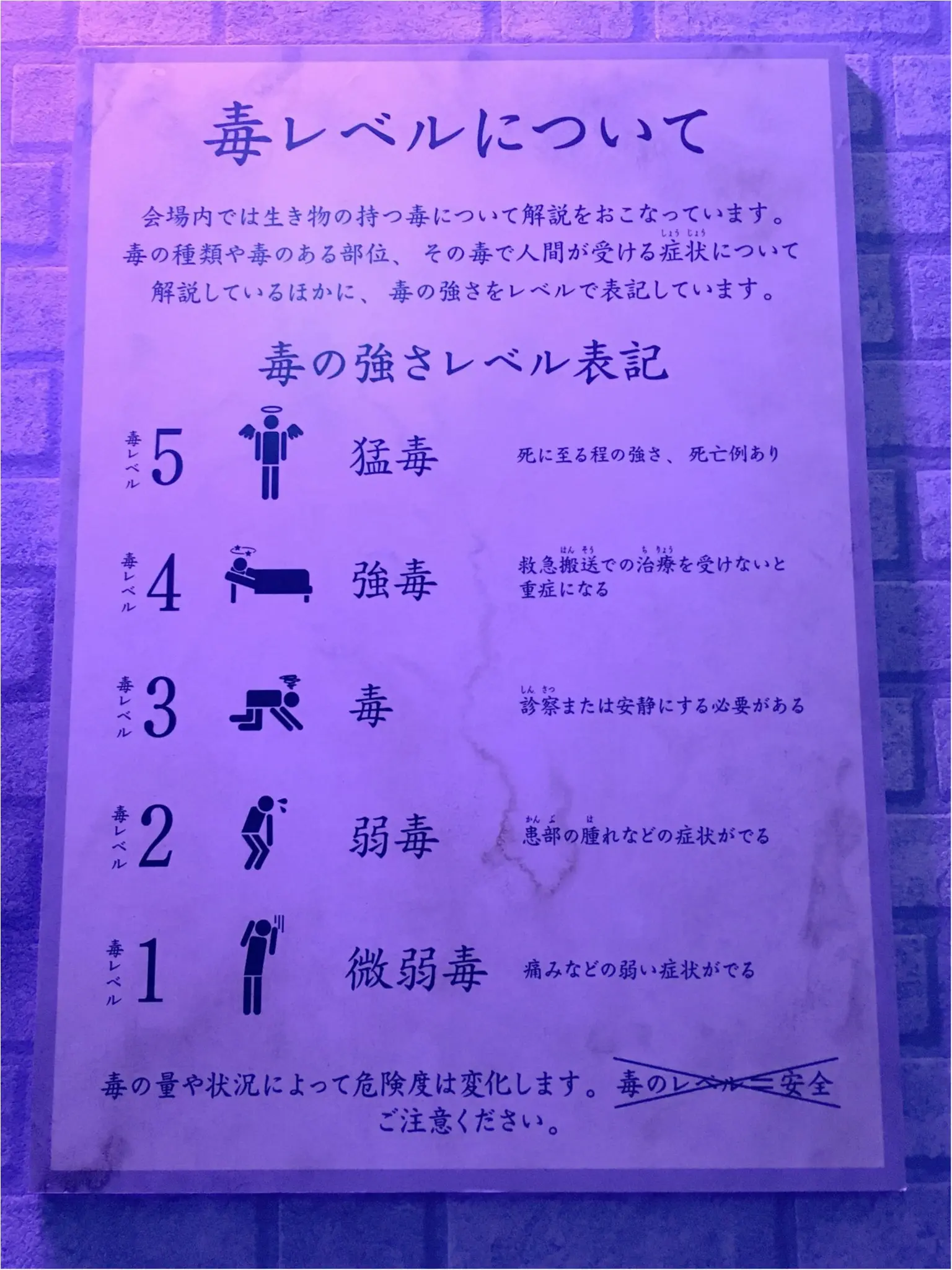 危険な生き物大集合!【毒毒毒毒毒毒毒毒毒展】に行ってきました( º_º )_3