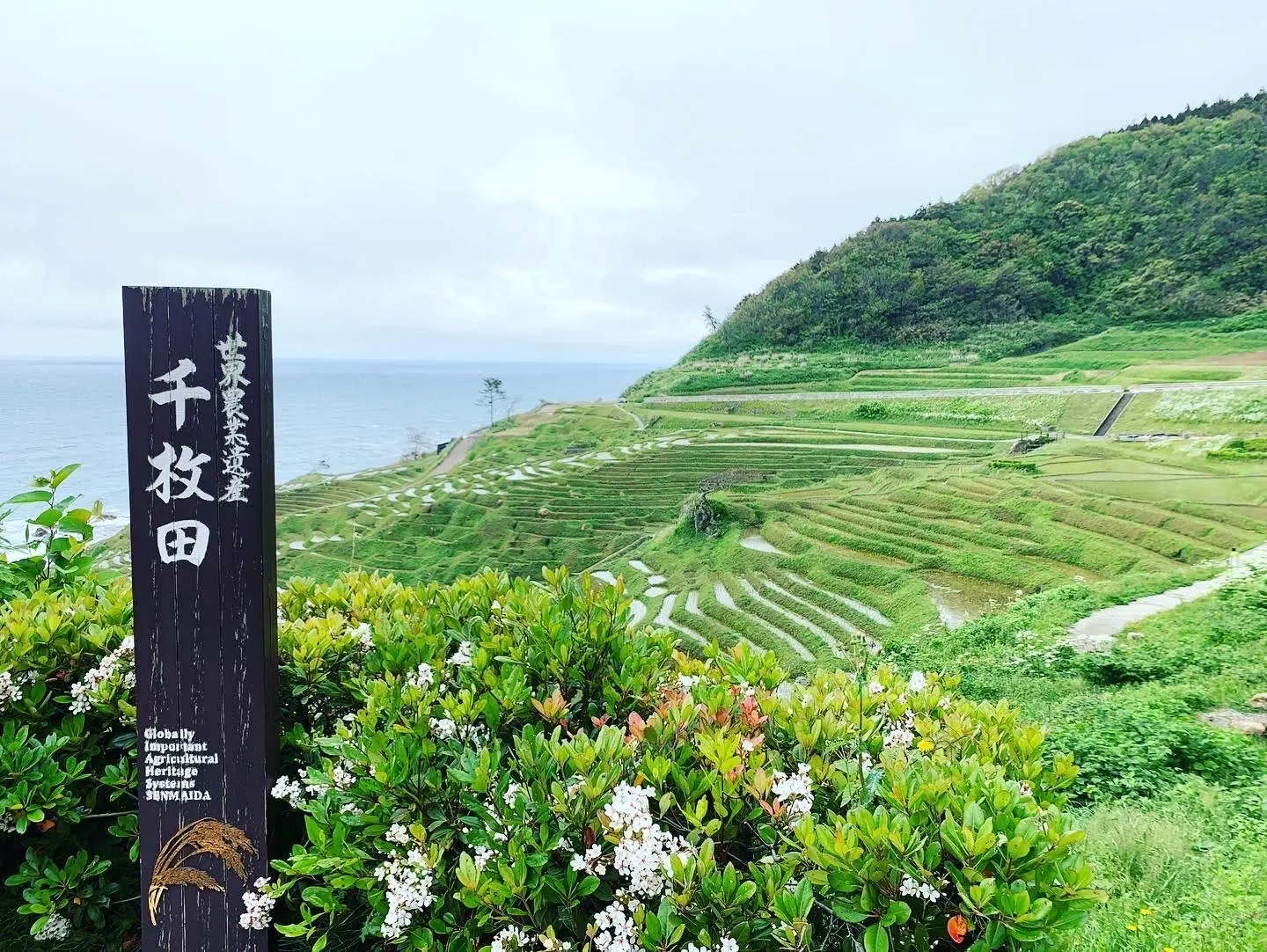 【石川県&富山県】行くならここ行くべき☝️モデルコースをご紹介☺︎_5