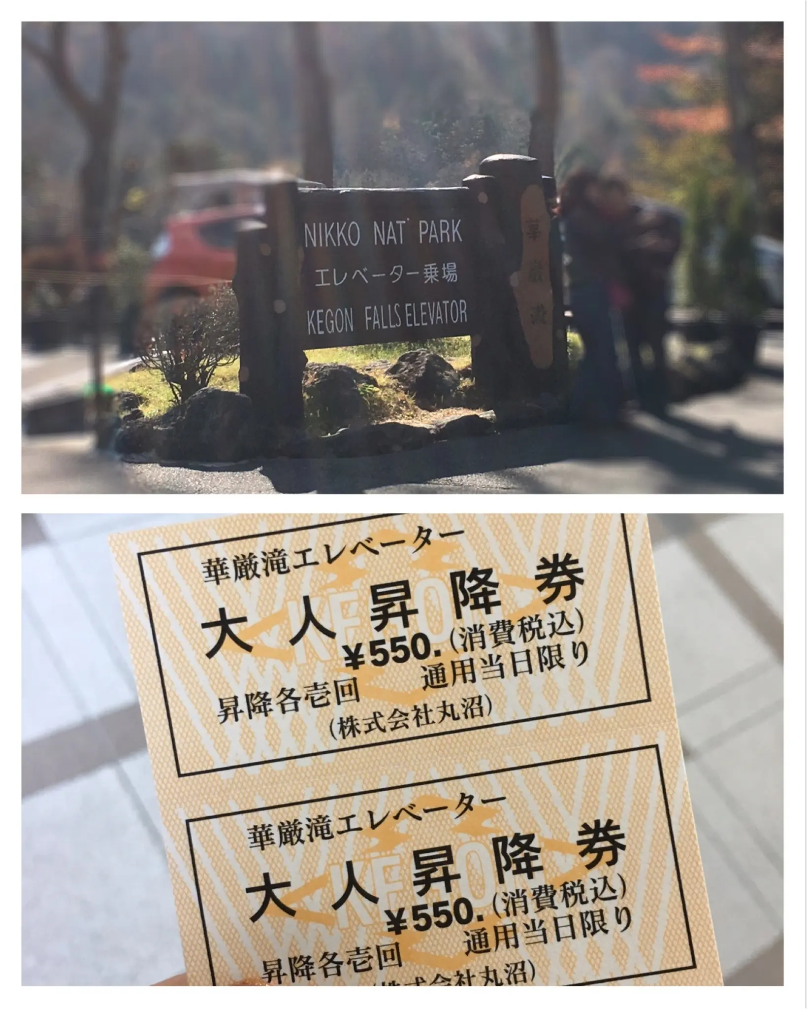 紅葉を見るならここに行くべし❤︎❢日帰り旅行ができちゃう♡絶景紅葉スポット♥◯◯に行ってきました♡ʾʾ_8