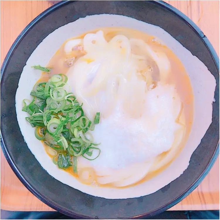 【四国旅行】香川でうどん巡りしてきました!_5