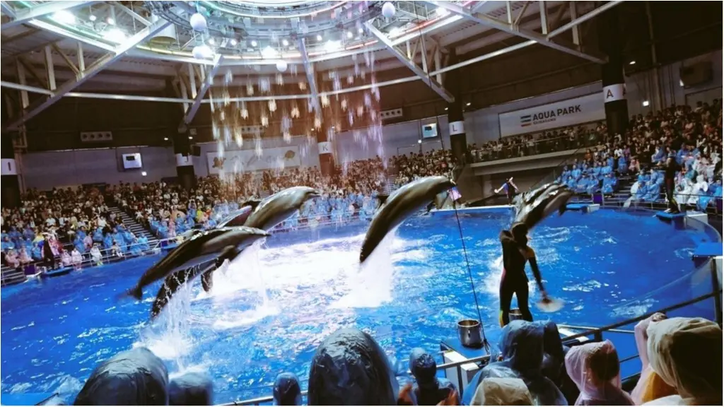 昼と夜でイルカショーが変わる!?光・音・映像と海の生き物のコラボレーション ✨《*アクアパーク品川*》の魅力☆★ _15