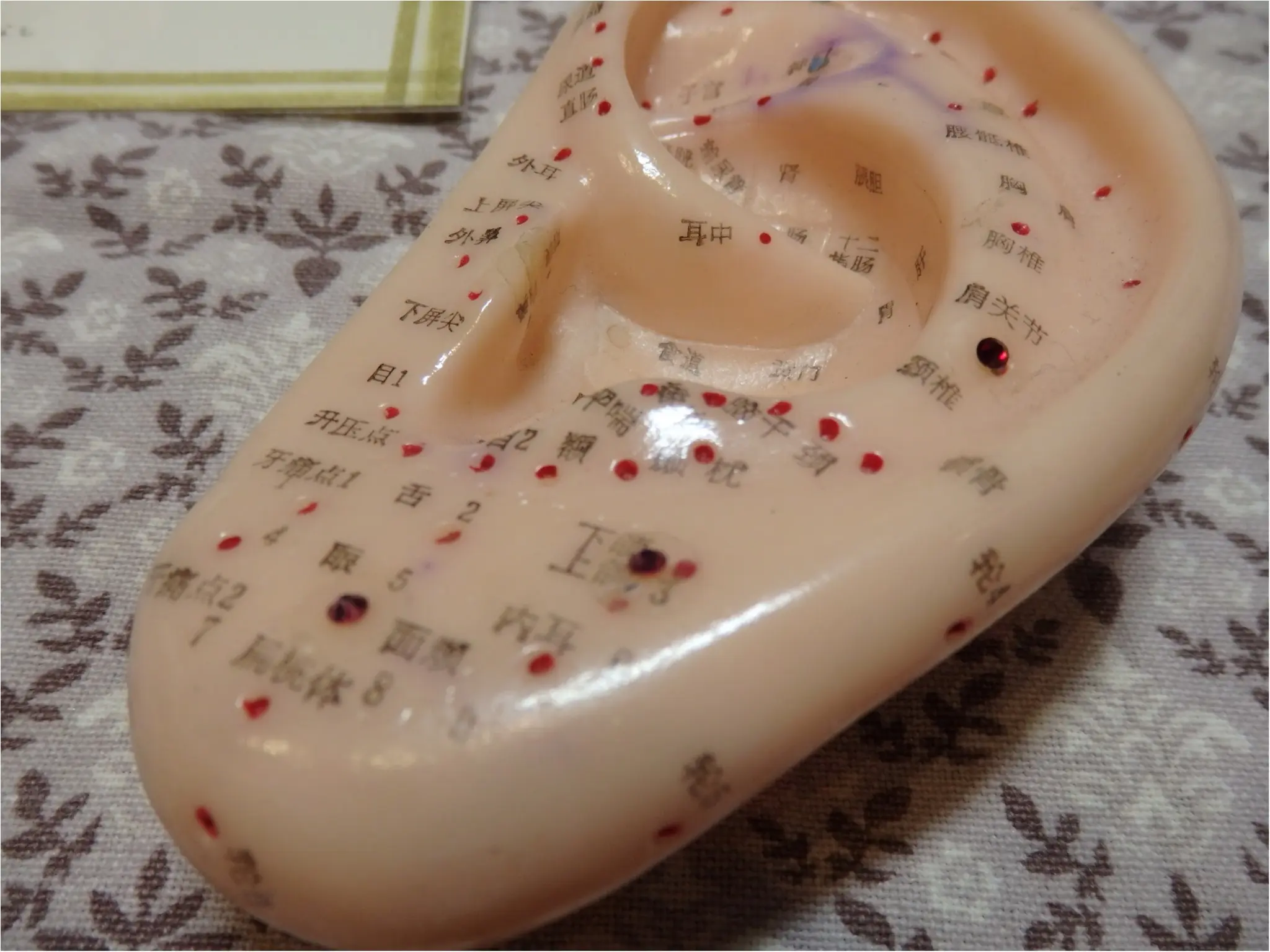 【え、本当!?】耳つぼだけで、ー5キロ出来るらしい・・・_4