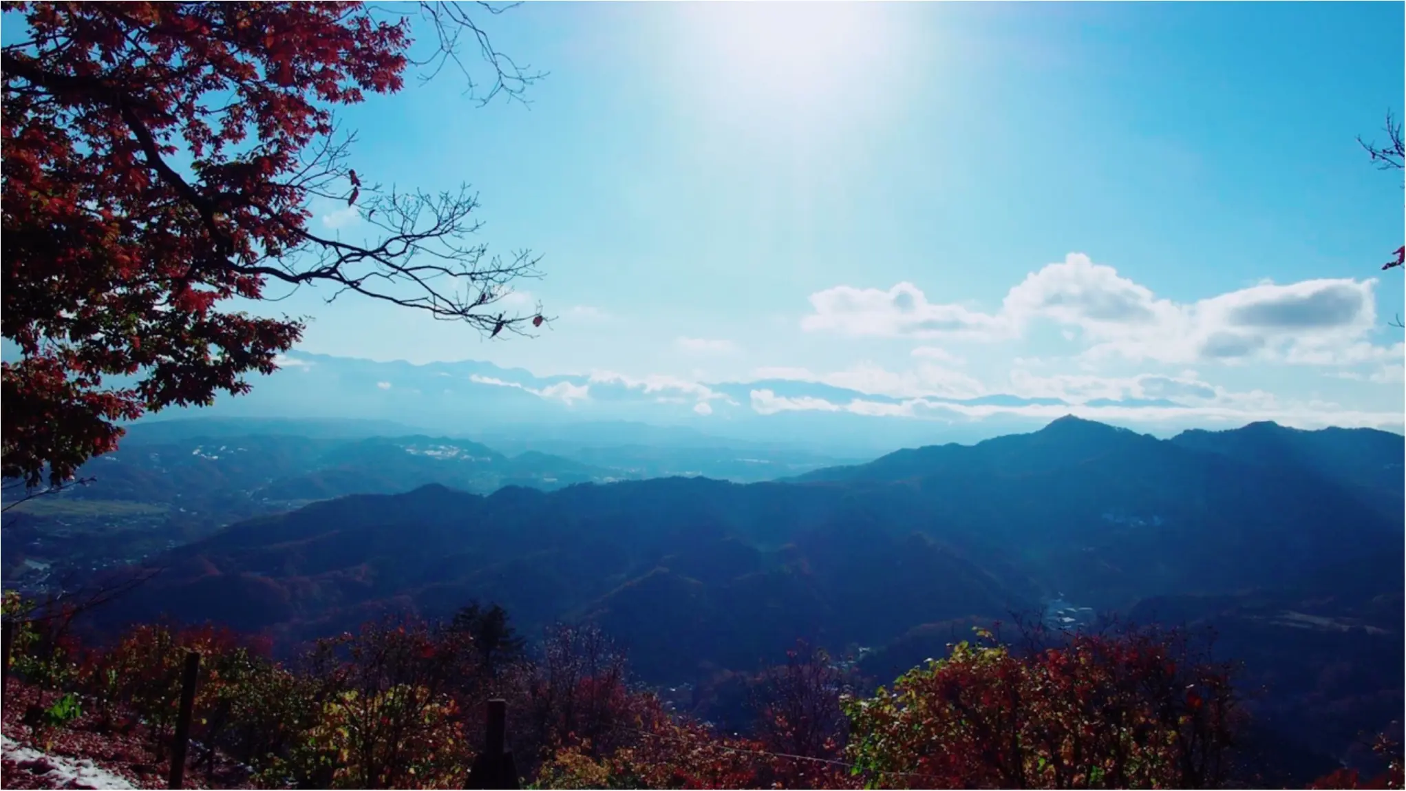 紅葉を満喫♩都心から二時間のとっておきの癒しスポット・秩父長瀞へ!_5