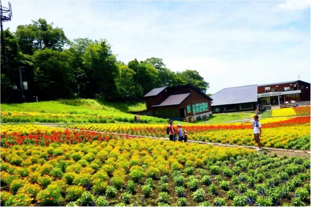 【おでかけ】ラベンダーの香りに癒されて♪お得な夏のバスツアーで楽しいこと欲張りな日帰り旅行☆_3