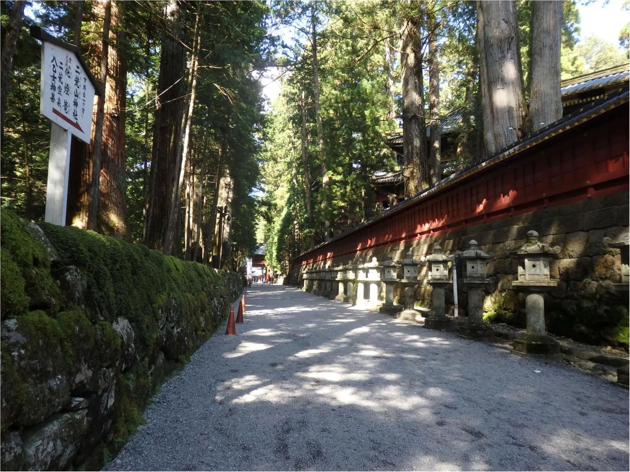 【知らなかった!】日本一楽しめる神社へ潜入してみた_2
