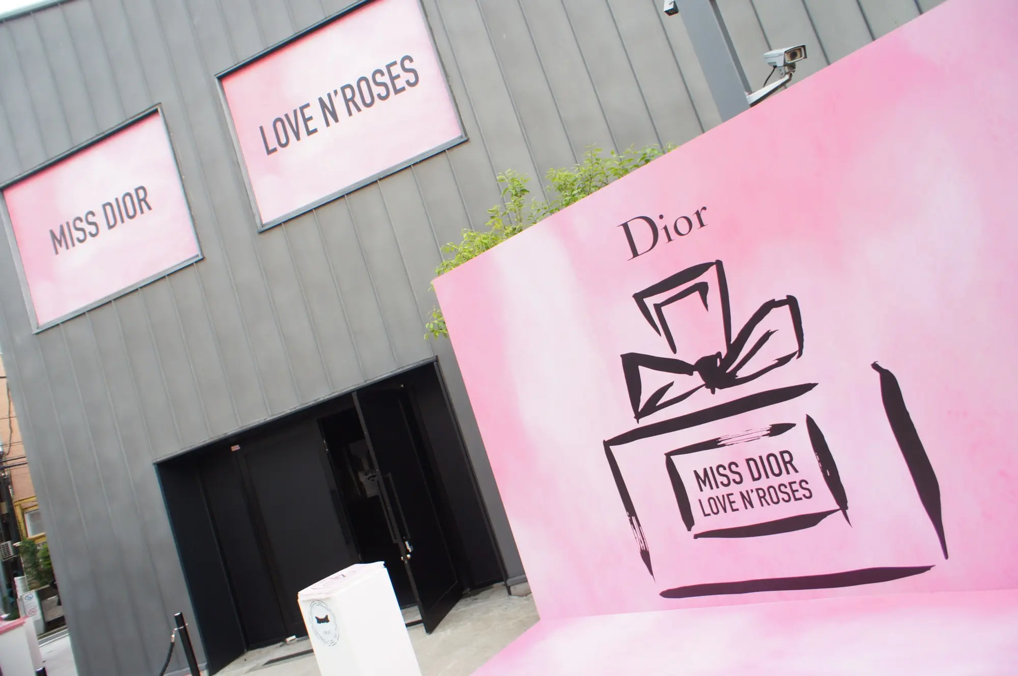 《大盛況❤️》【表参道】MISS DIOR LOVE N’ROSES 展覧会に行ってきました☻!_1