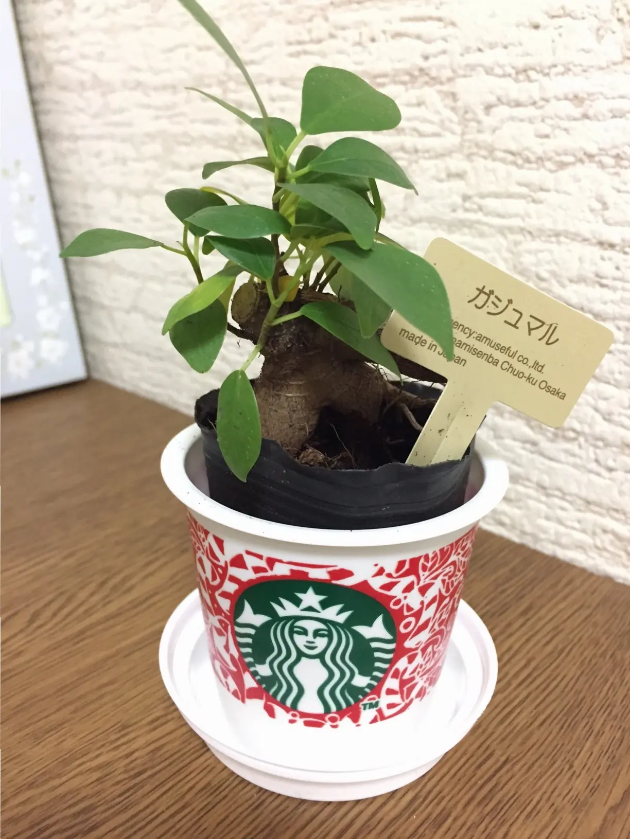 話題沸騰!「スタバのプリン」とオシャレな容器の活用法♪_8